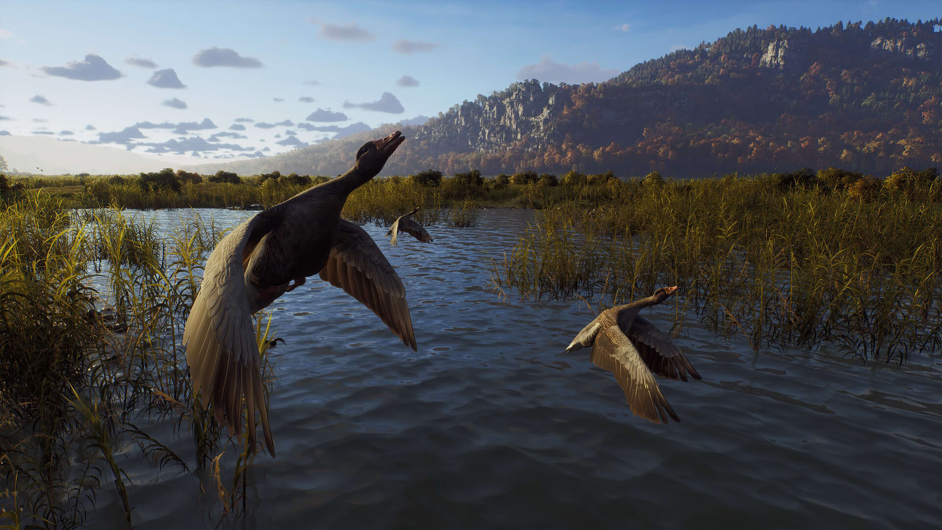 Screenshot for Way of the Hunter