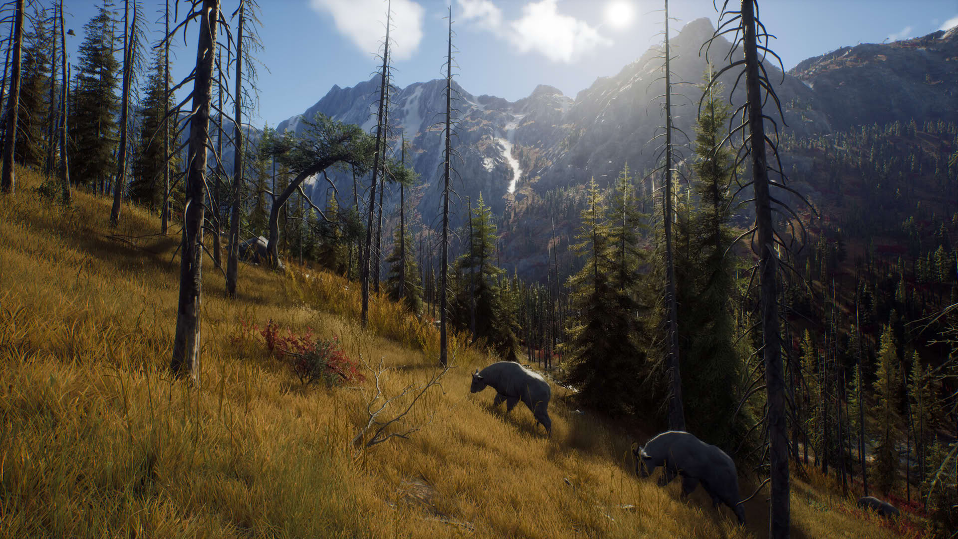 Screenshot for Way of the Hunter