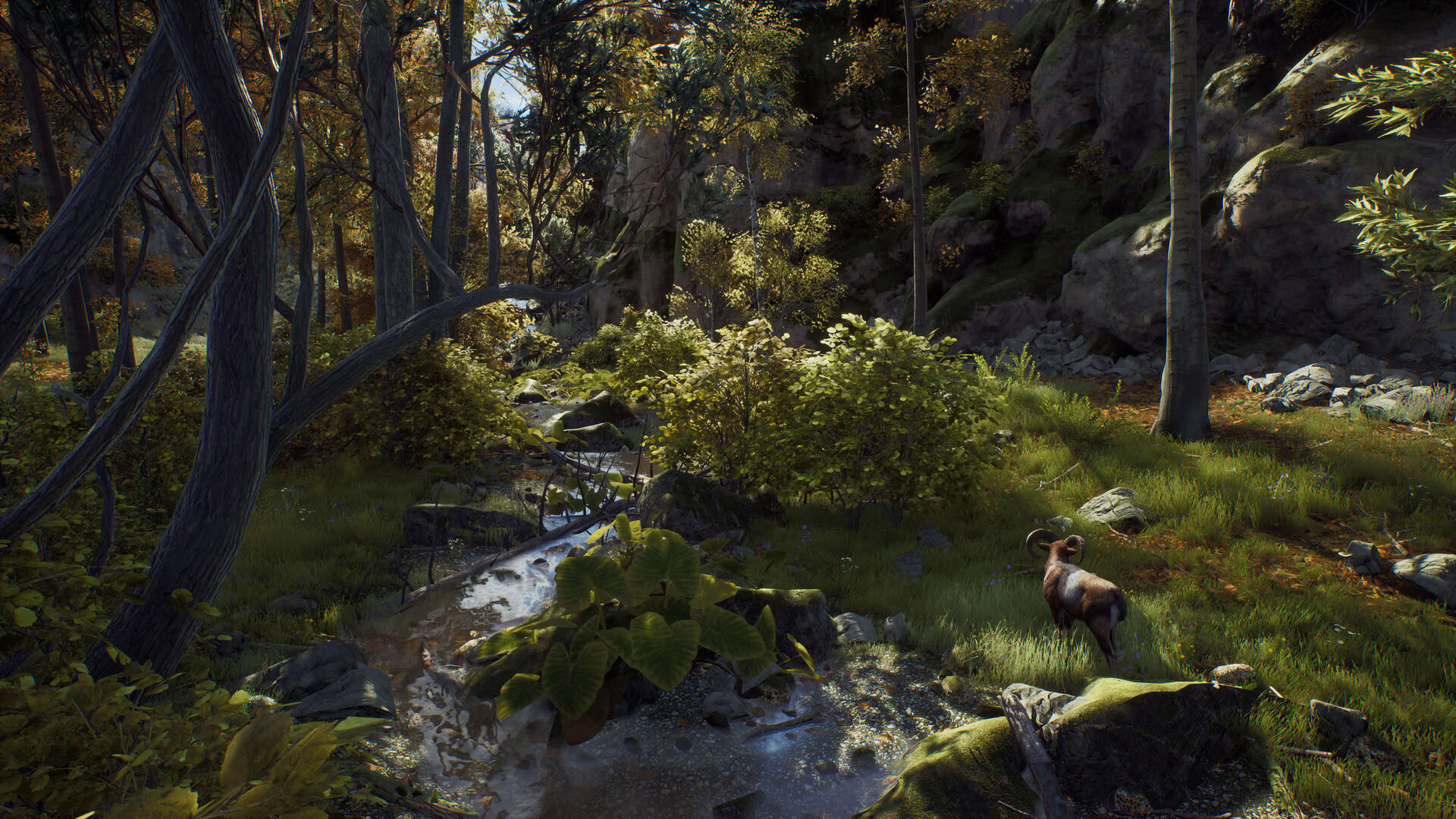 Screenshot for Way of the Hunter
