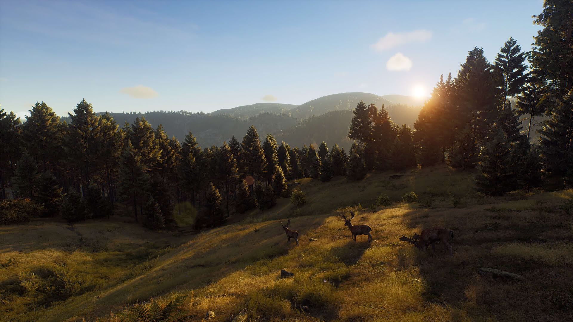 Screenshot for Way of the Hunter