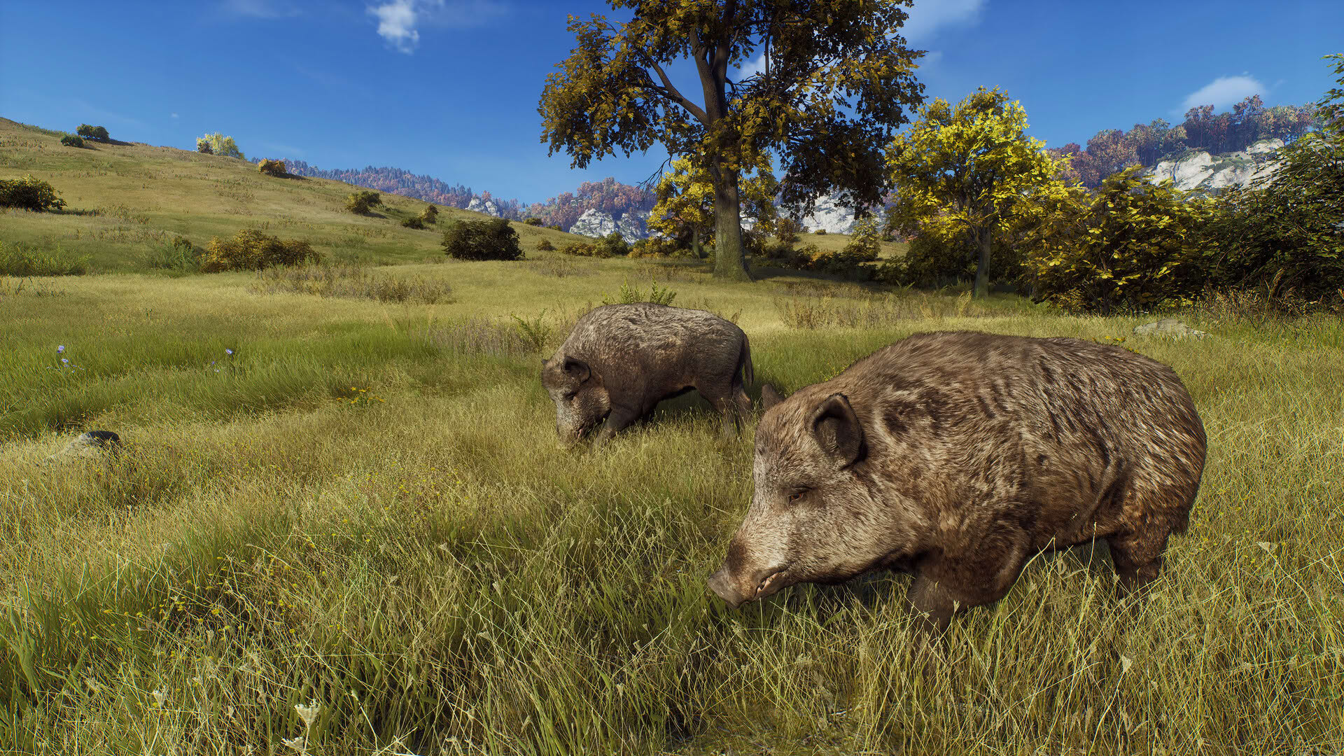 Screenshot for Way of the Hunter