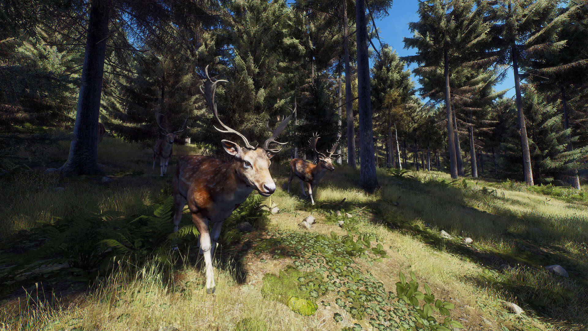 Screenshot for Way of the Hunter