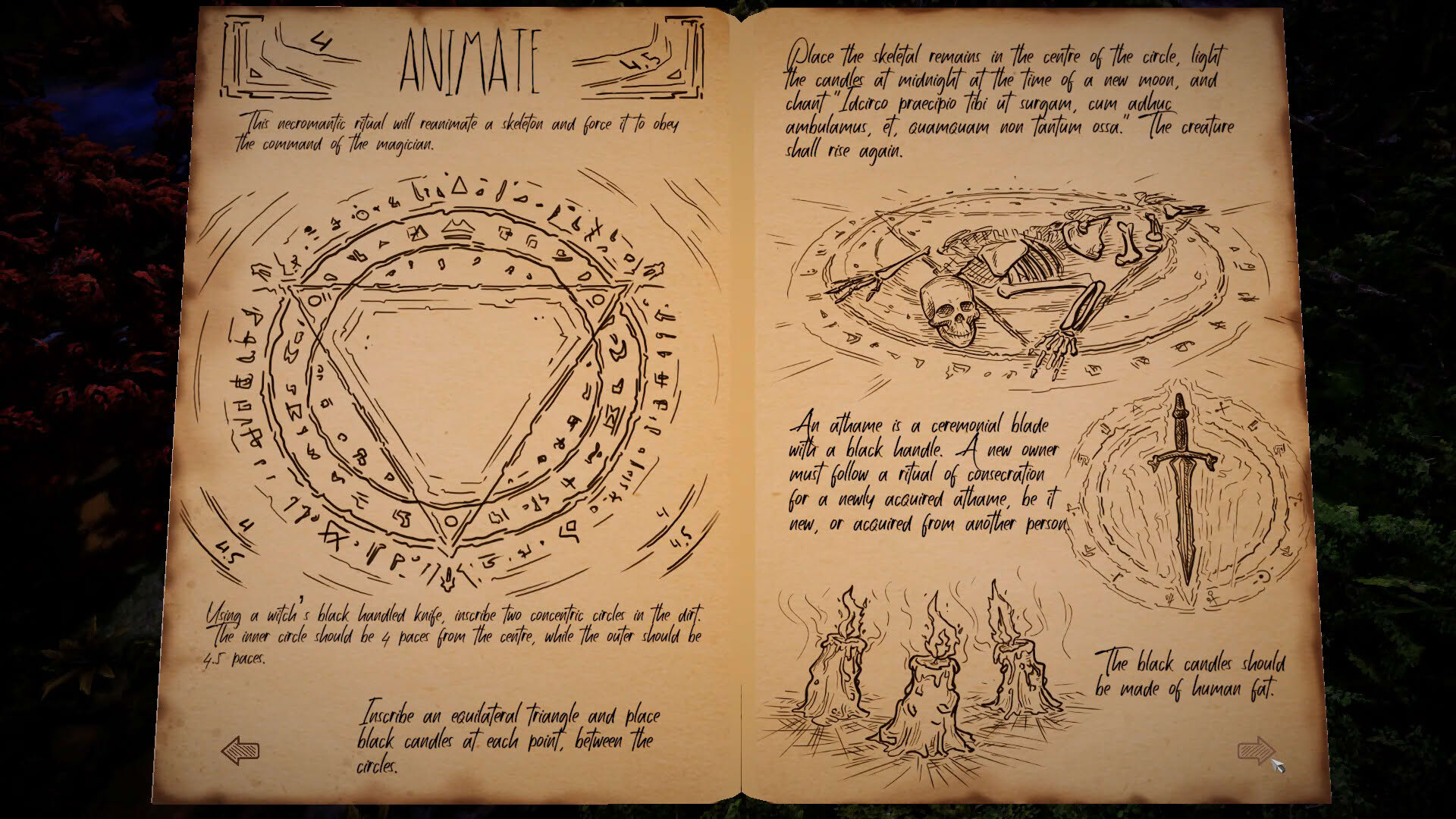 Screenshot for The Necromancer's Tale