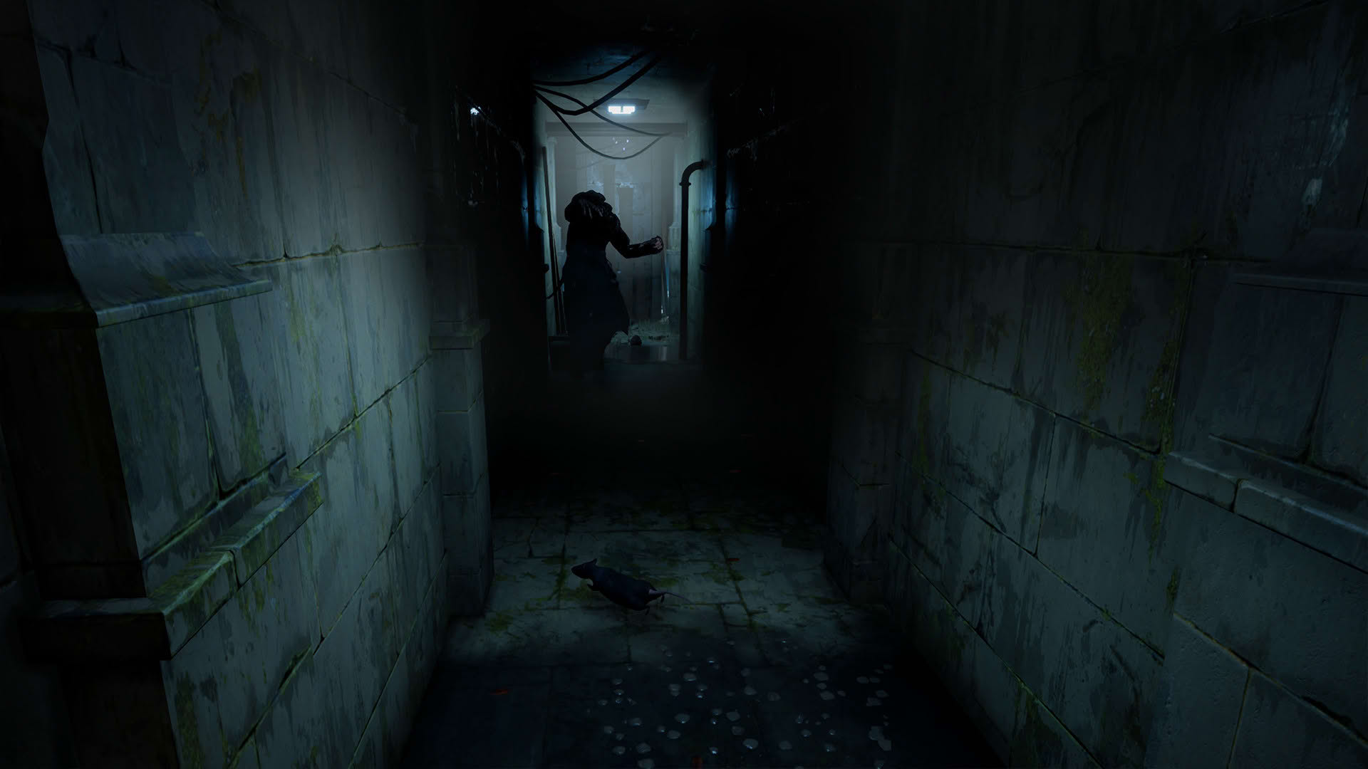 Screenshot for Horror Tales: The Wine
