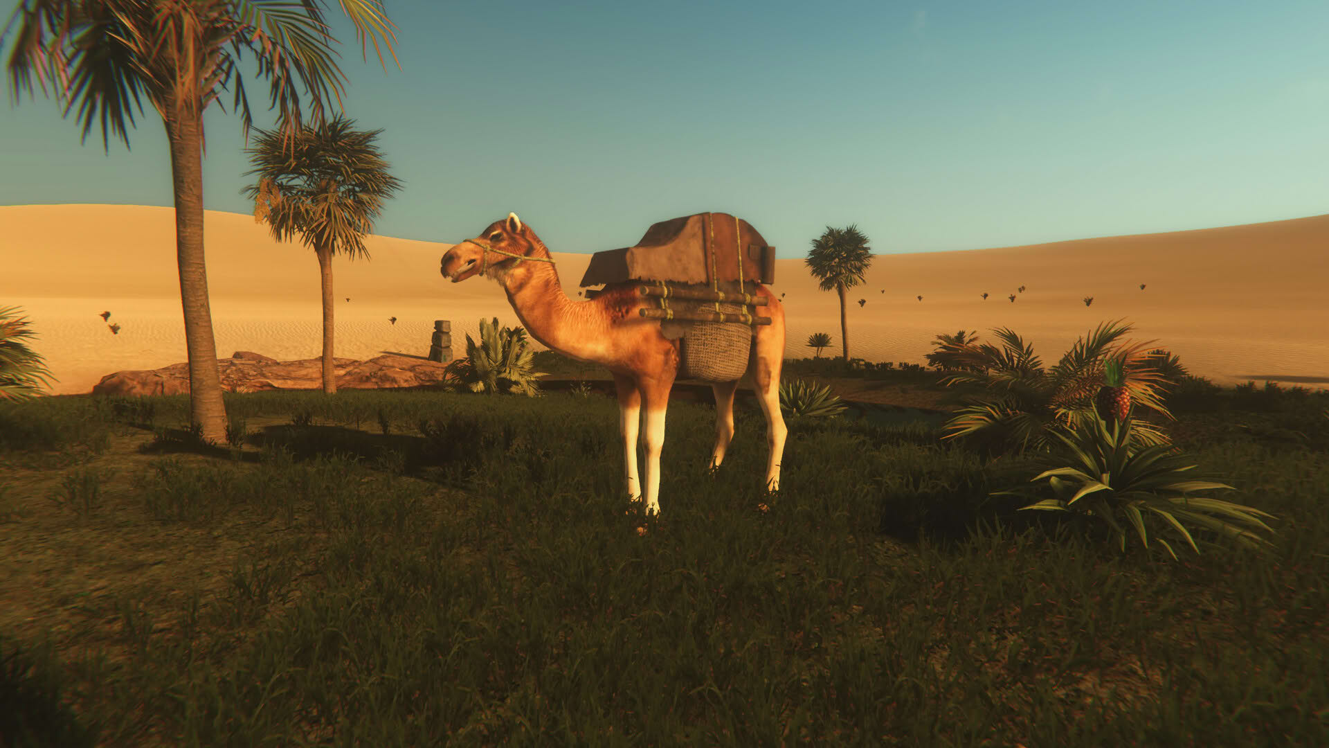 Screenshot for Starsand