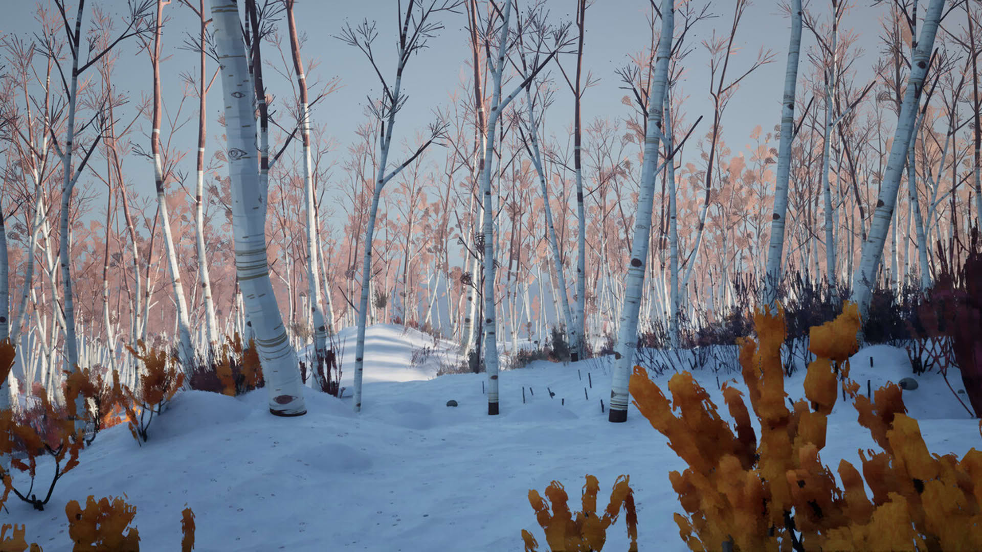 Screenshot for Blackfrost: The Long Dark 2