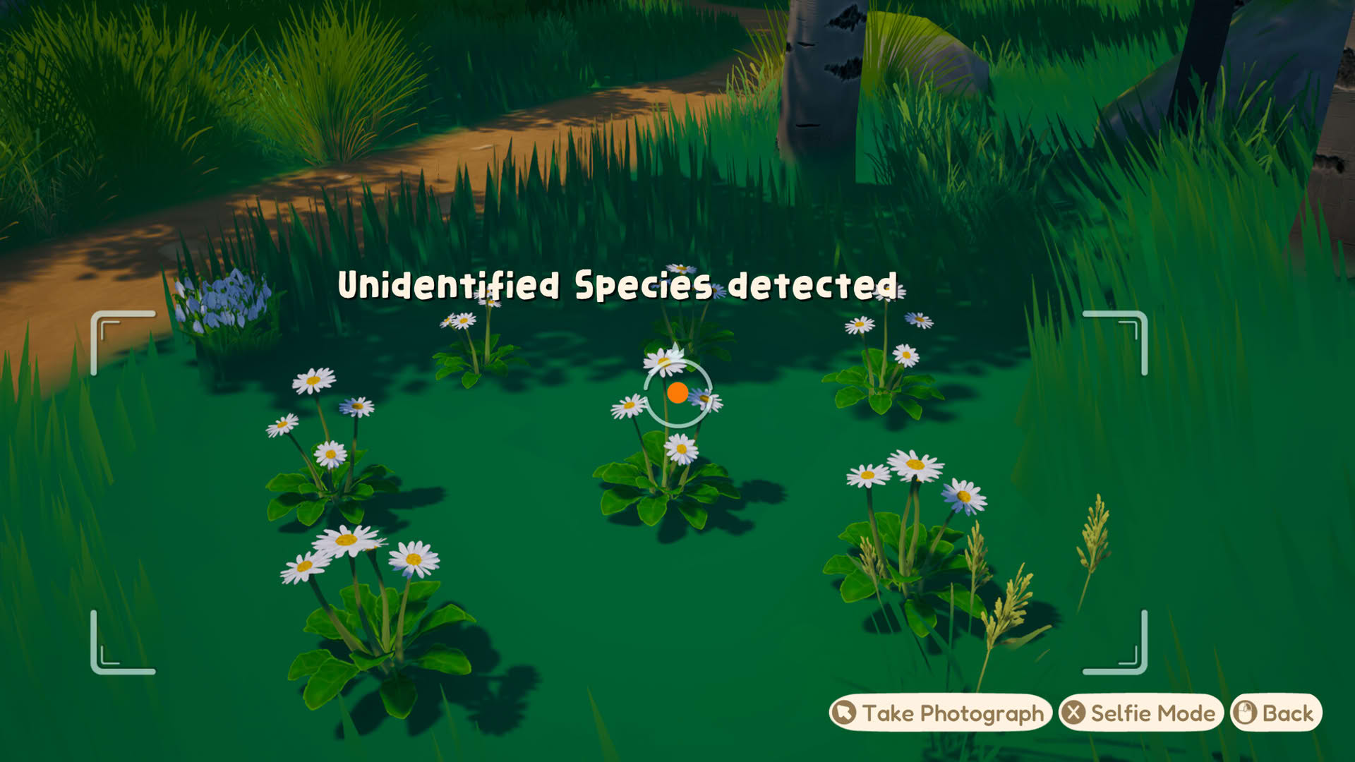 Screenshot for Out and About