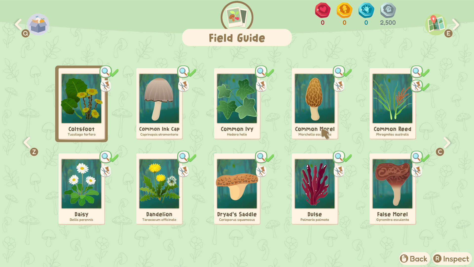 Screenshot for Out and About
