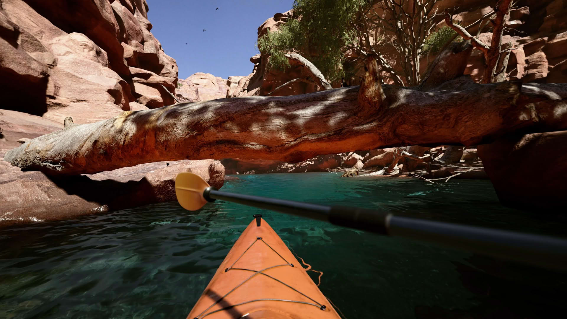Screenshot for Kayak VR: Mirage
