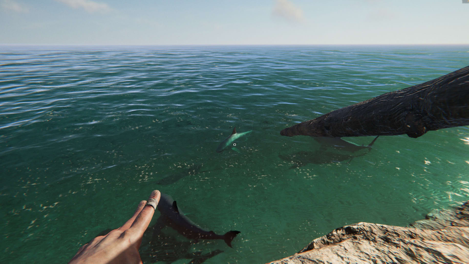 Screenshot for Project Castaway