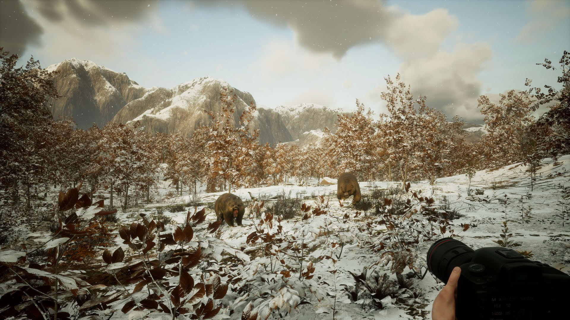 Screenshot for Photography Simulator