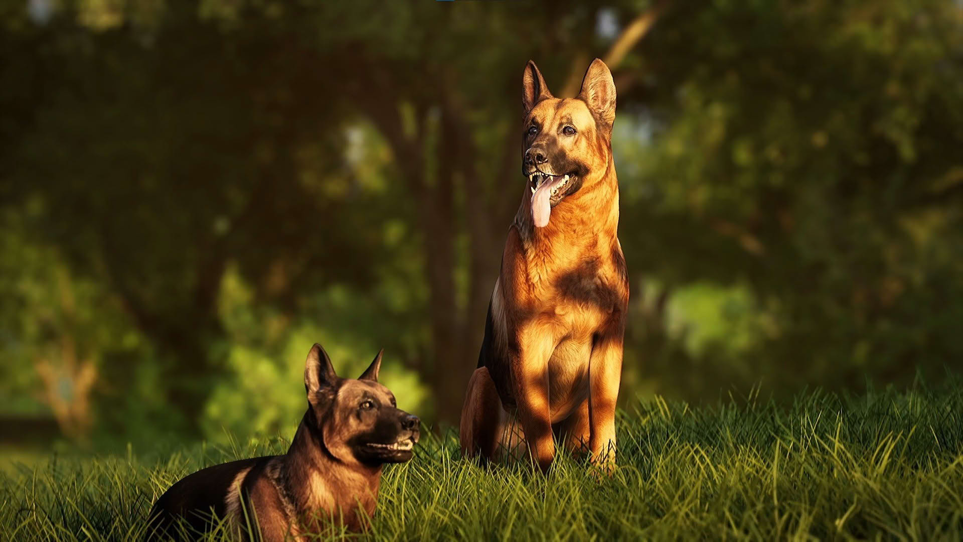 Screenshot for Photography Simulator