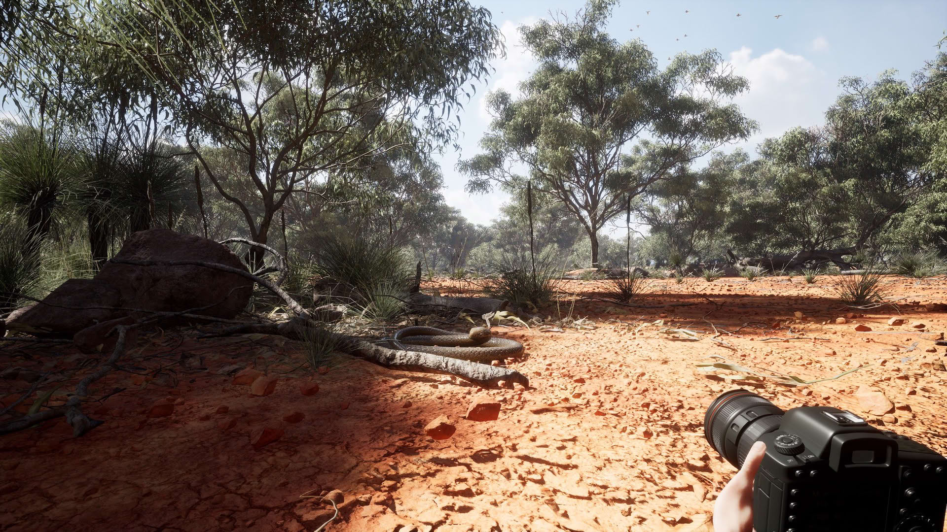 Screenshot for Photography Simulator