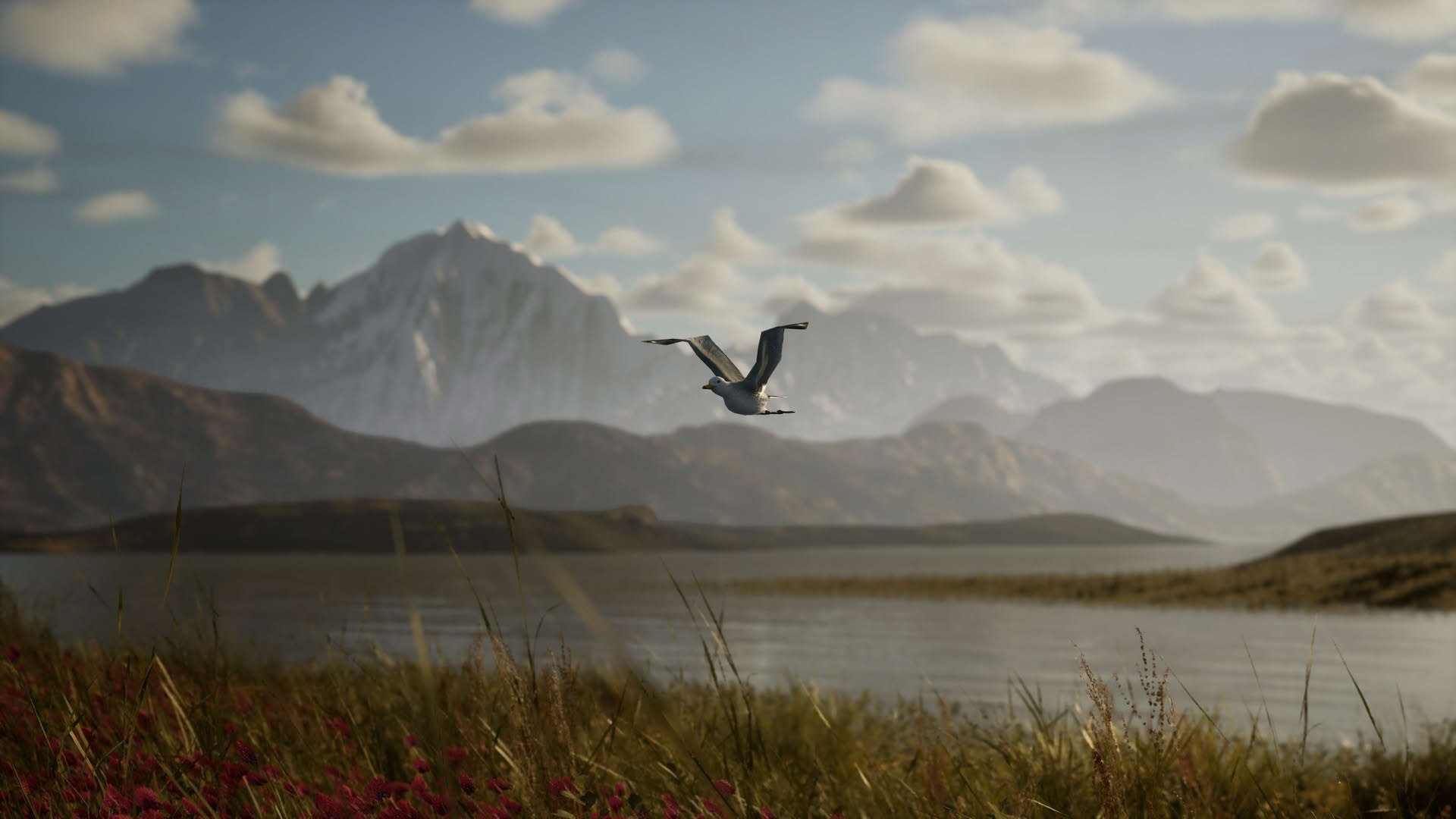 Screenshot for Photography Simulator