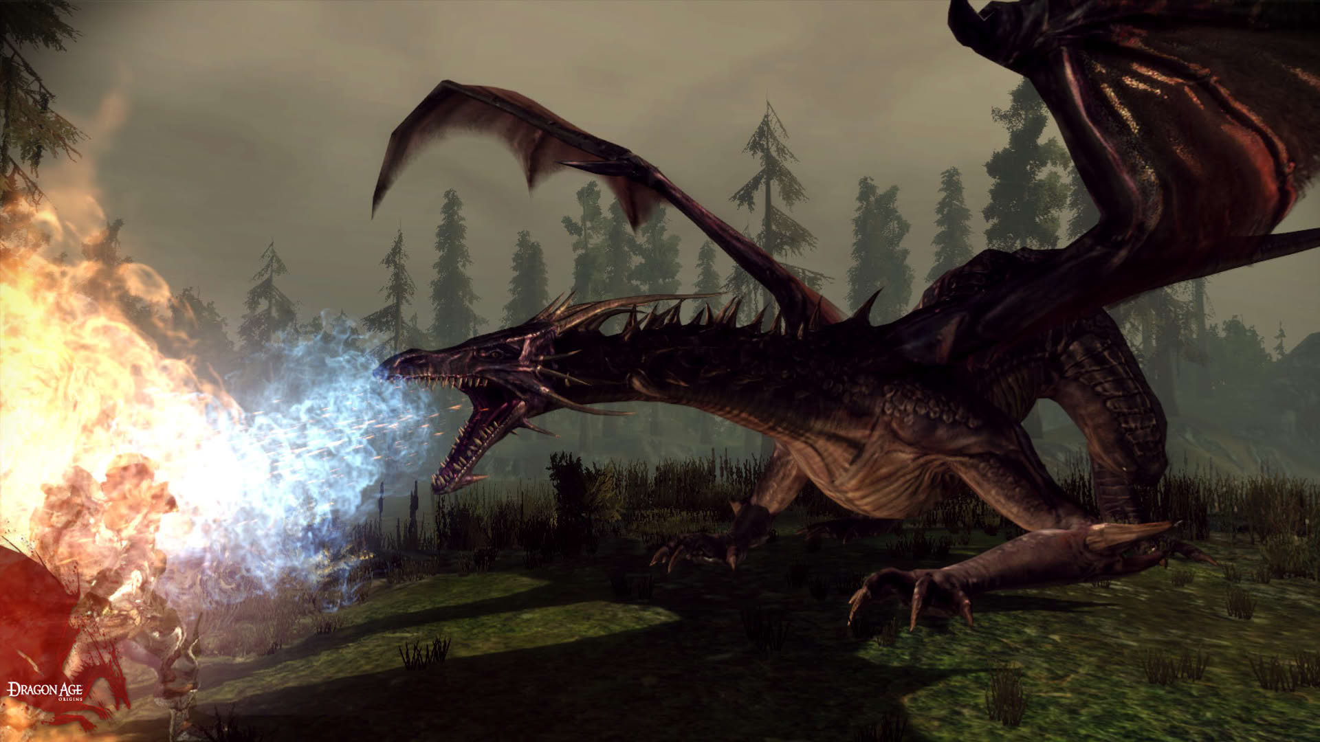 Screenshot for Dragon Age: Origins
