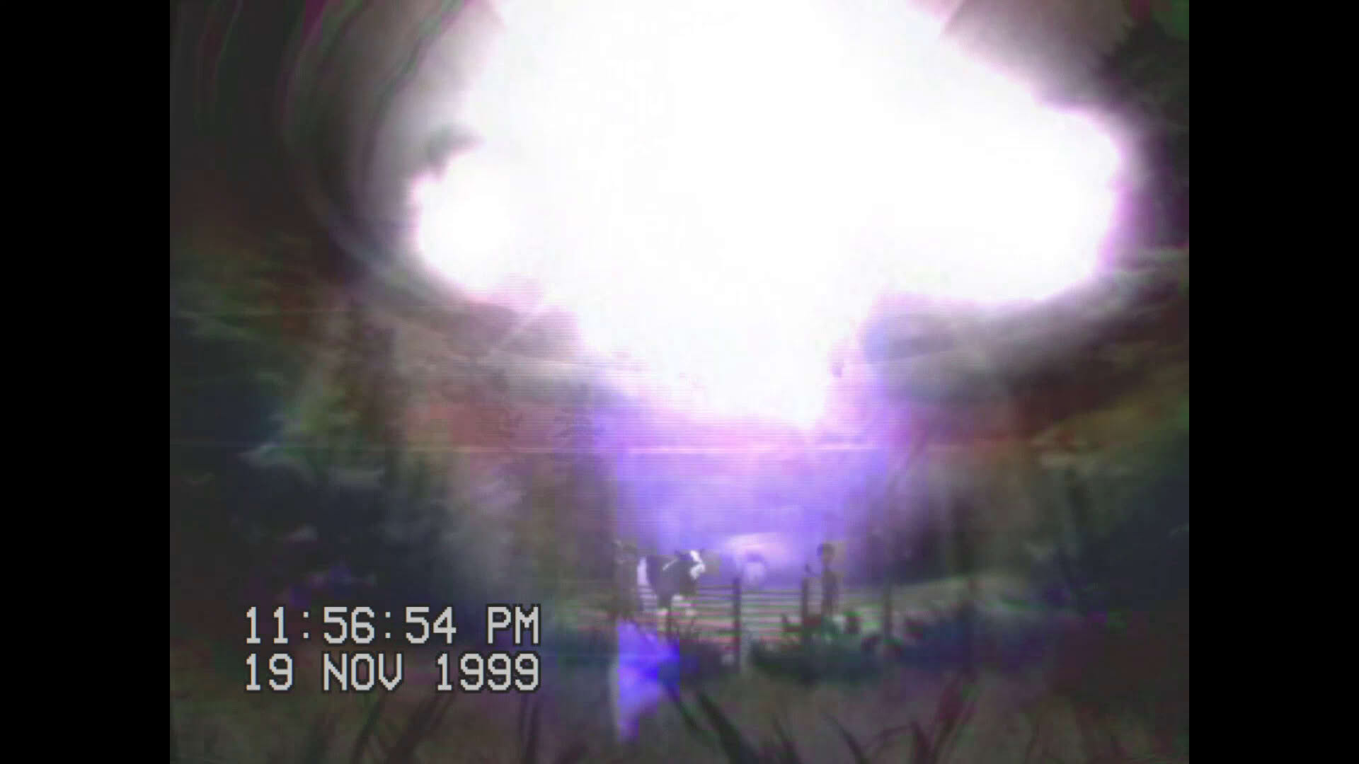 Screenshot for Stay with Me!: An Alien Abduction Story