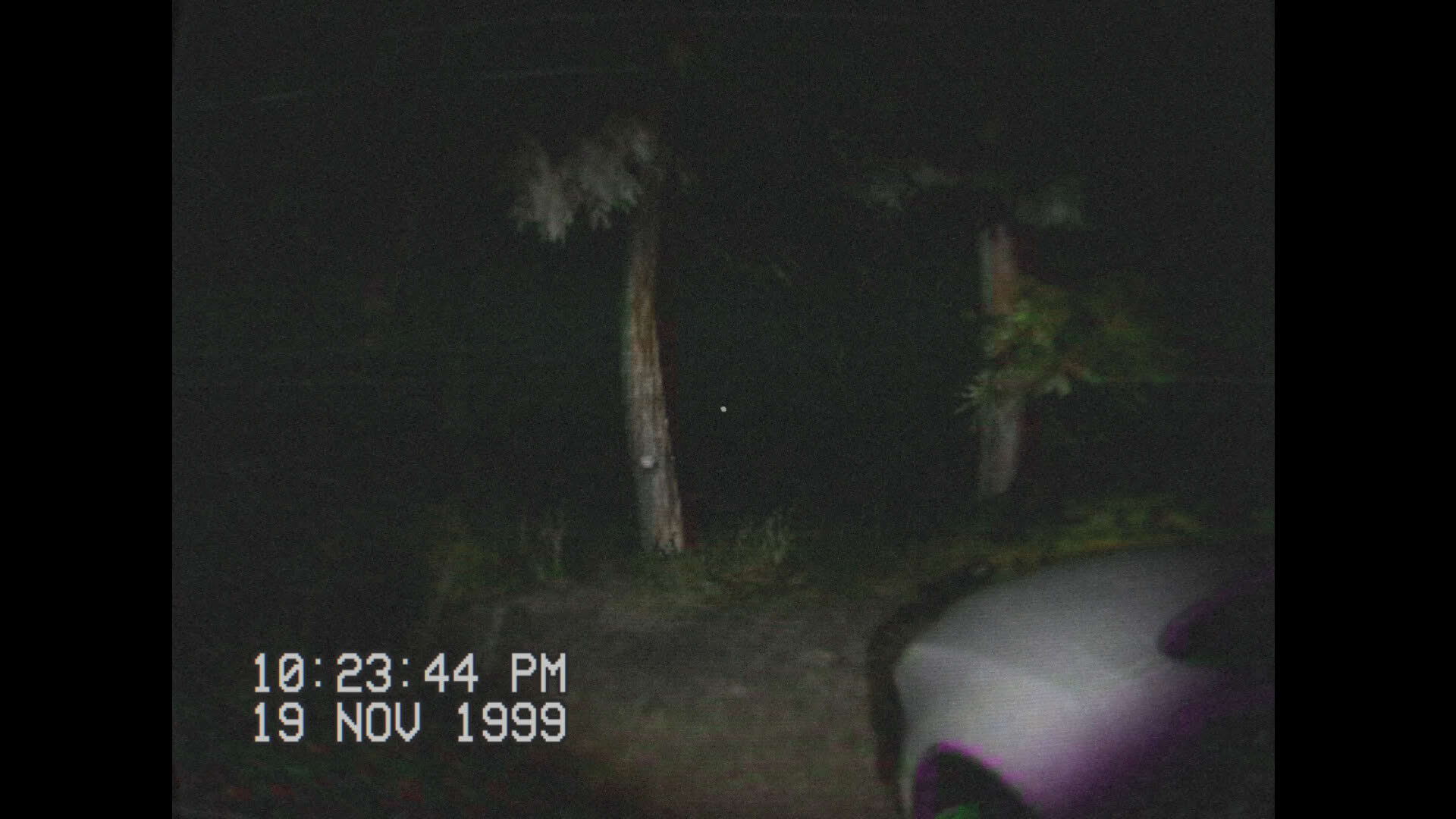 Screenshot for Stay with Me!: An Alien Abduction Story