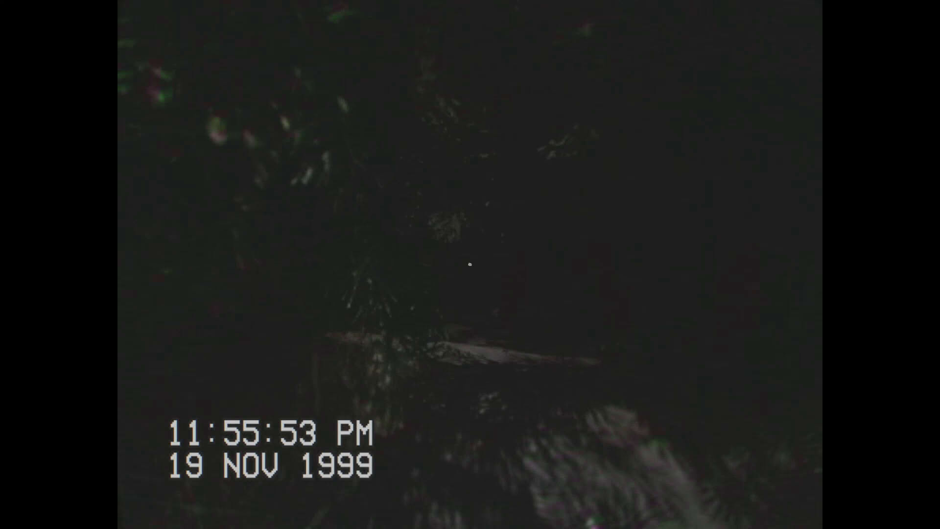 Screenshot for Stay with Me!: An Alien Abduction Story