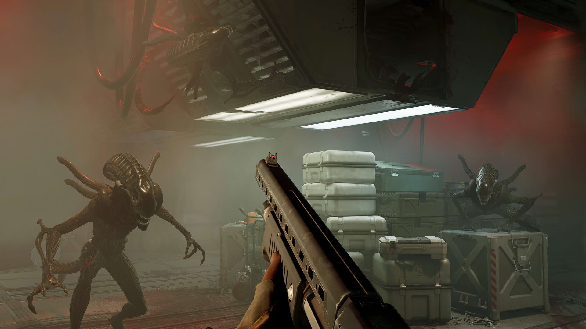 Screenshot for Alien: Rogue Incursion