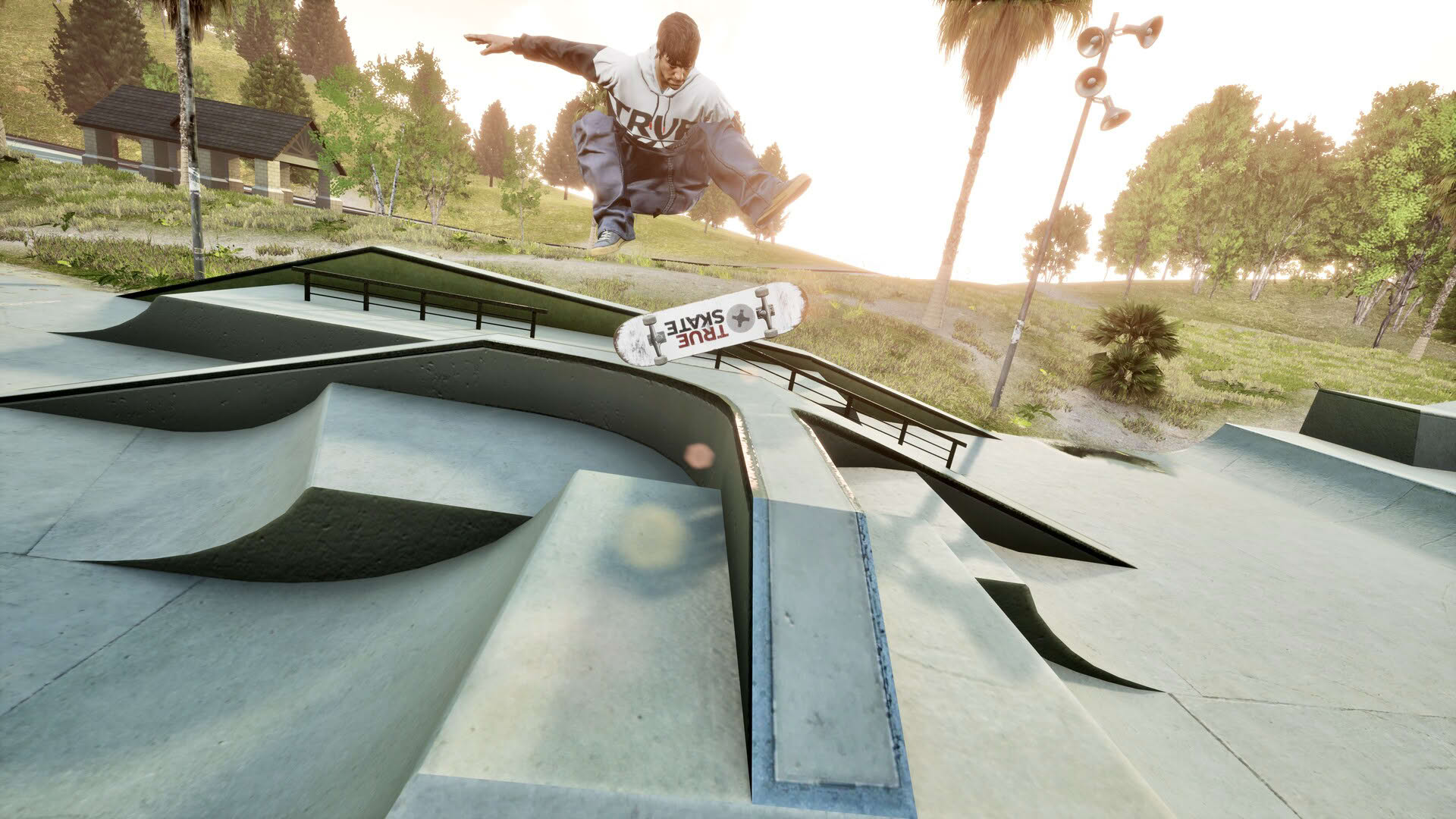 Screenshot for True Skate
