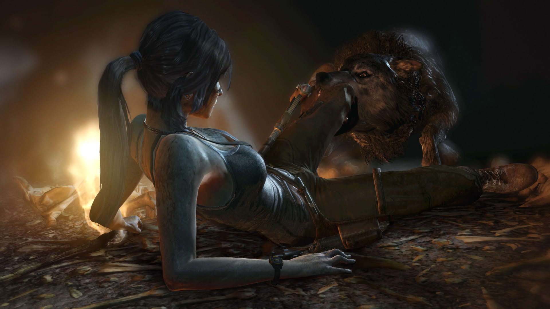 Screenshot for Tomb Raider