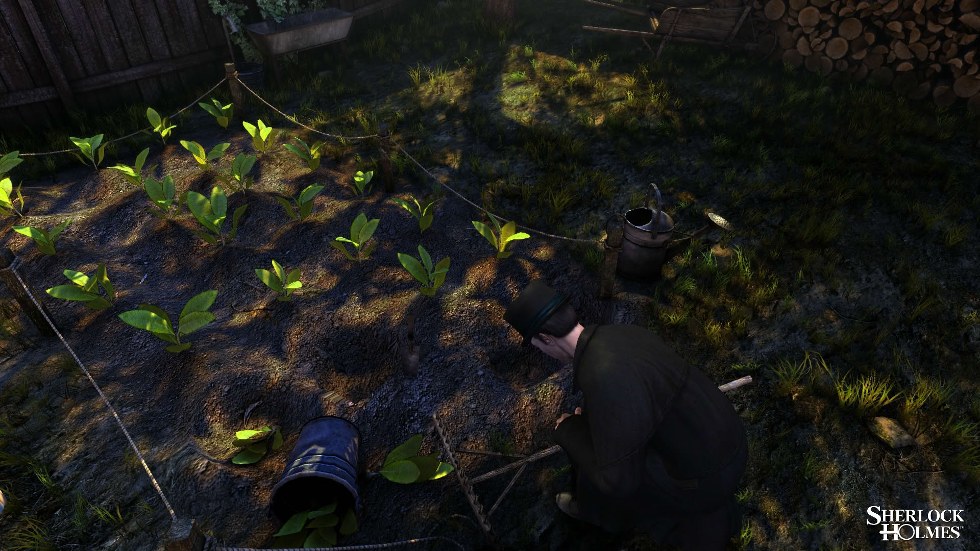 Screenshot for The Testament of Sherlock Holmes