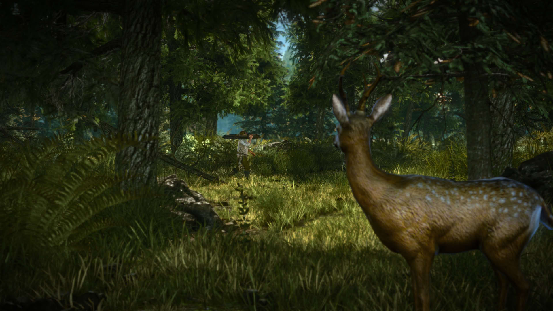 Screenshot for The Witcher 2: Assassins of Kings
