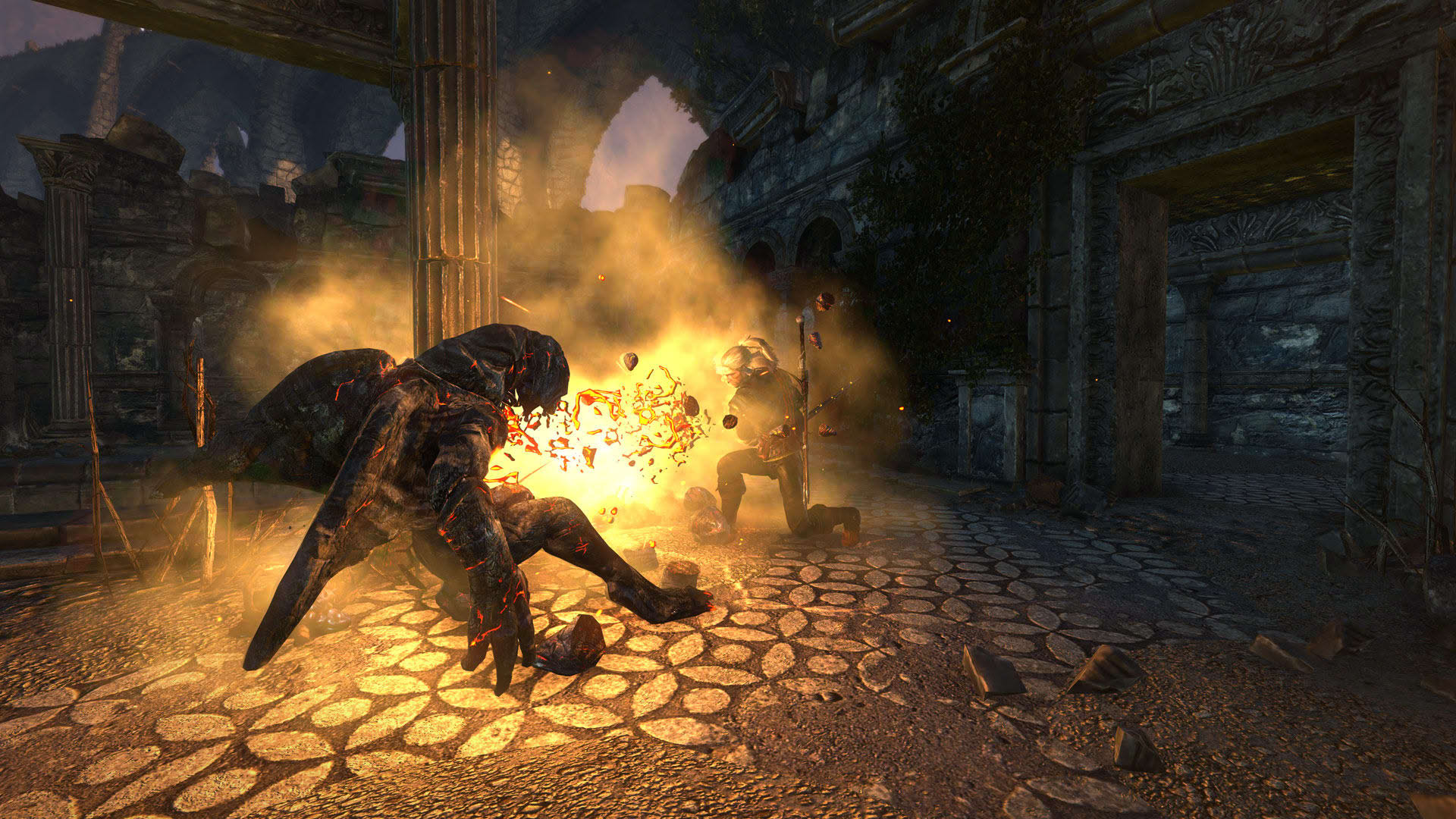 Screenshot for The Witcher 2: Assassins of Kings