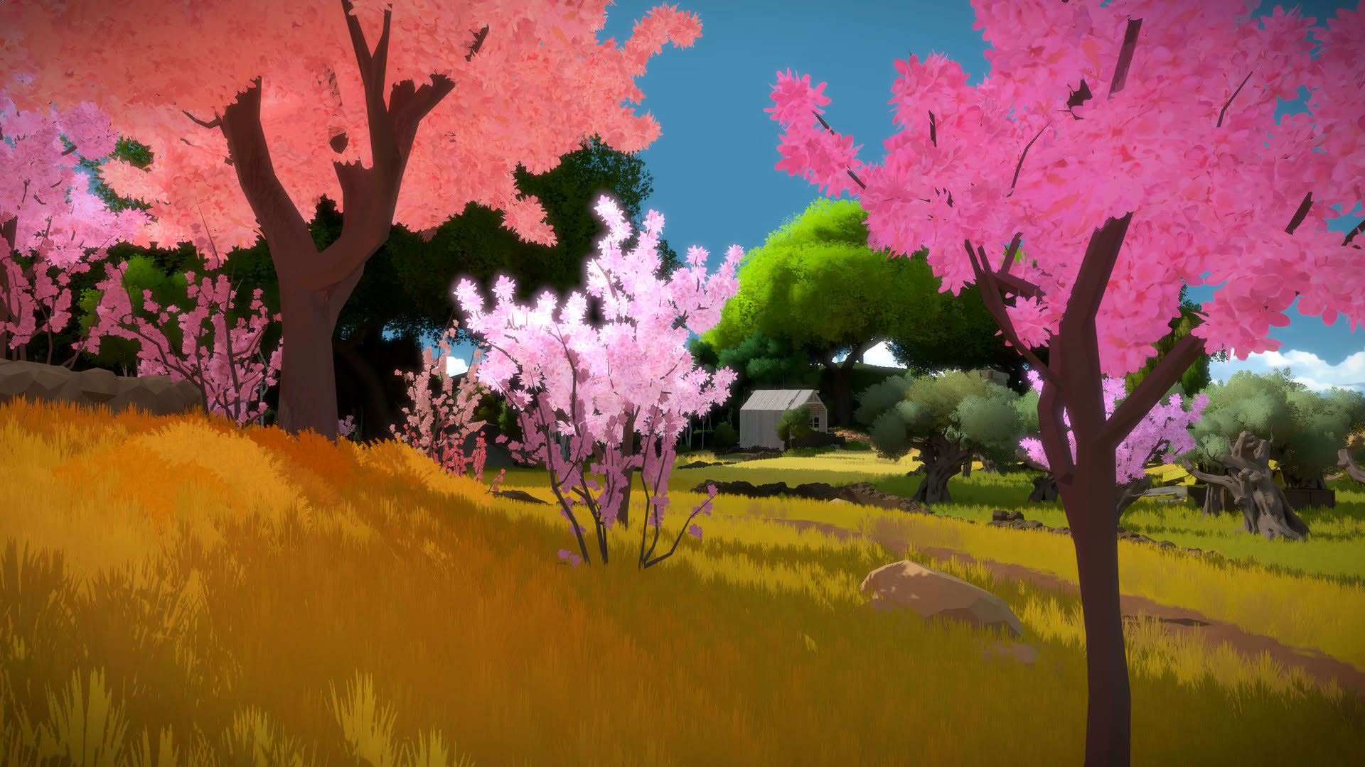 Screenshot for The Witness