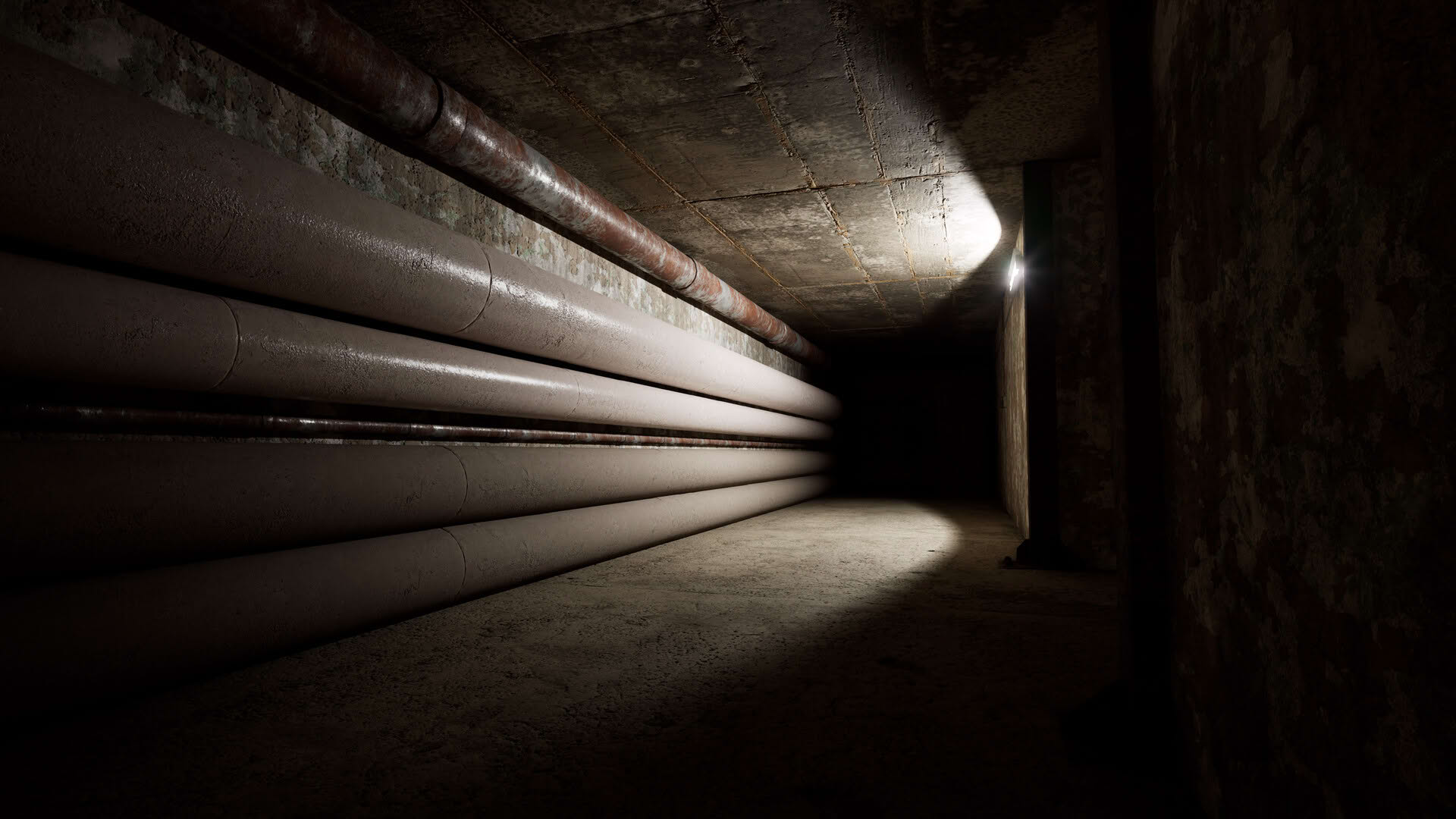 Screenshot for Backrooms: Escape Together