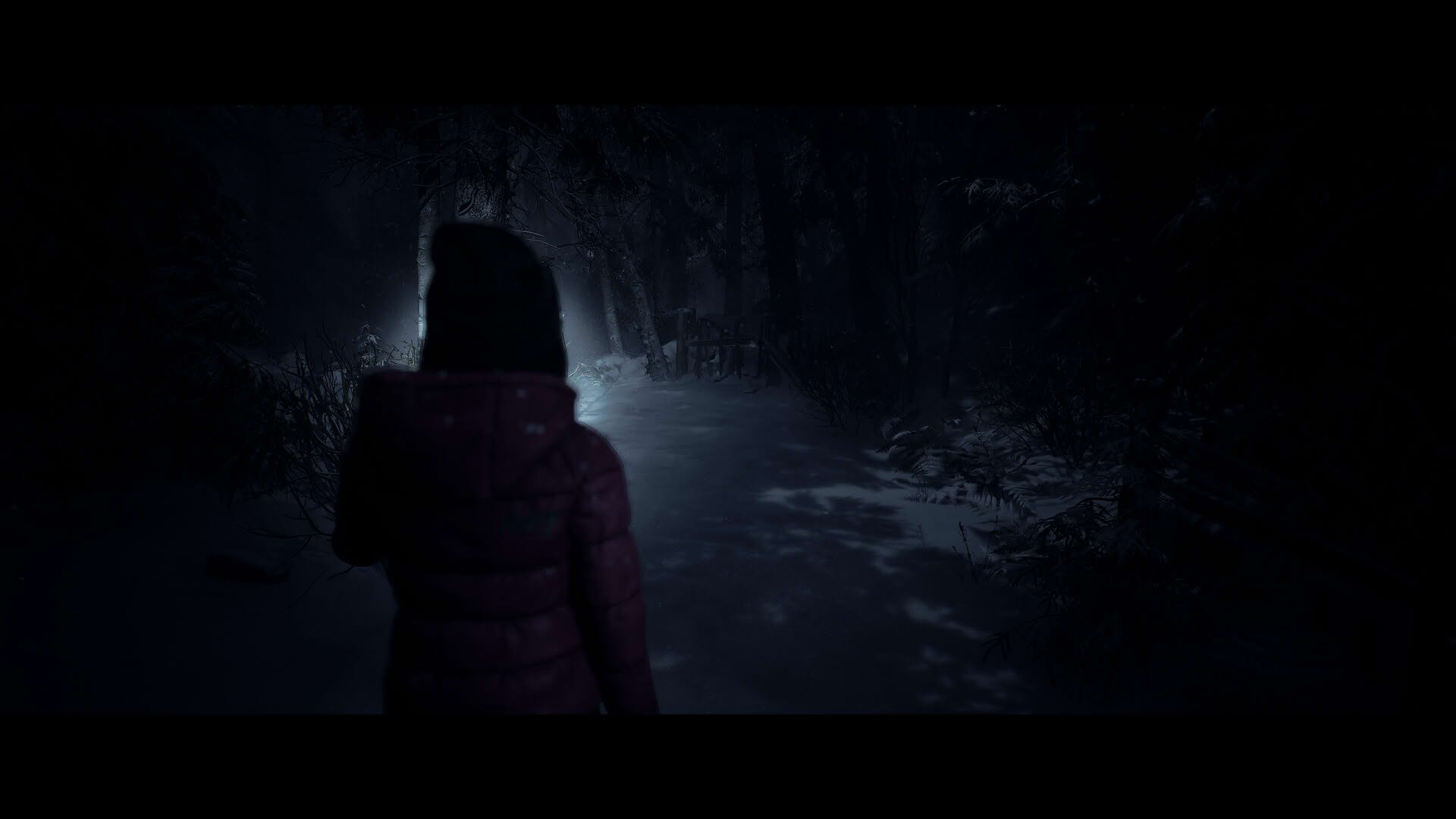 Screenshot for Until Dawn