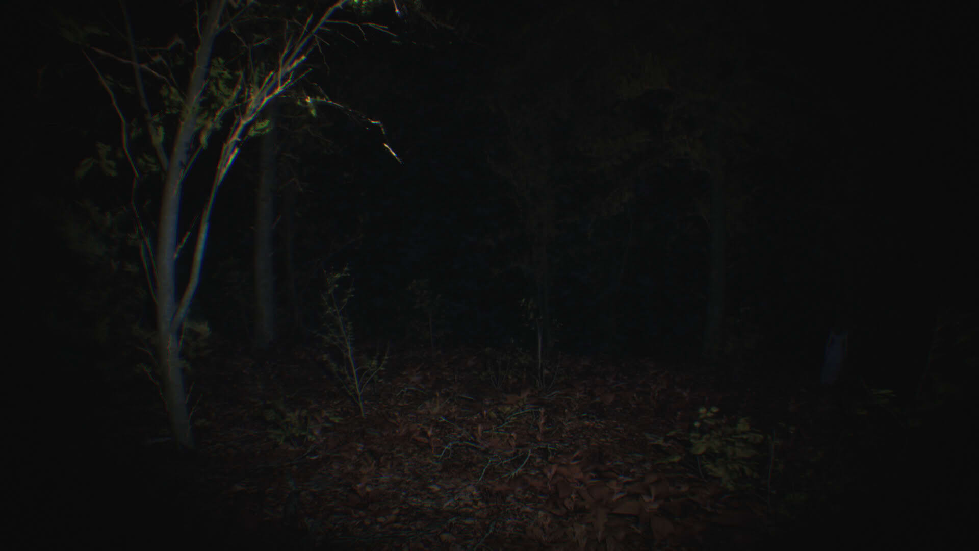 Screenshot for Paranormal Tales