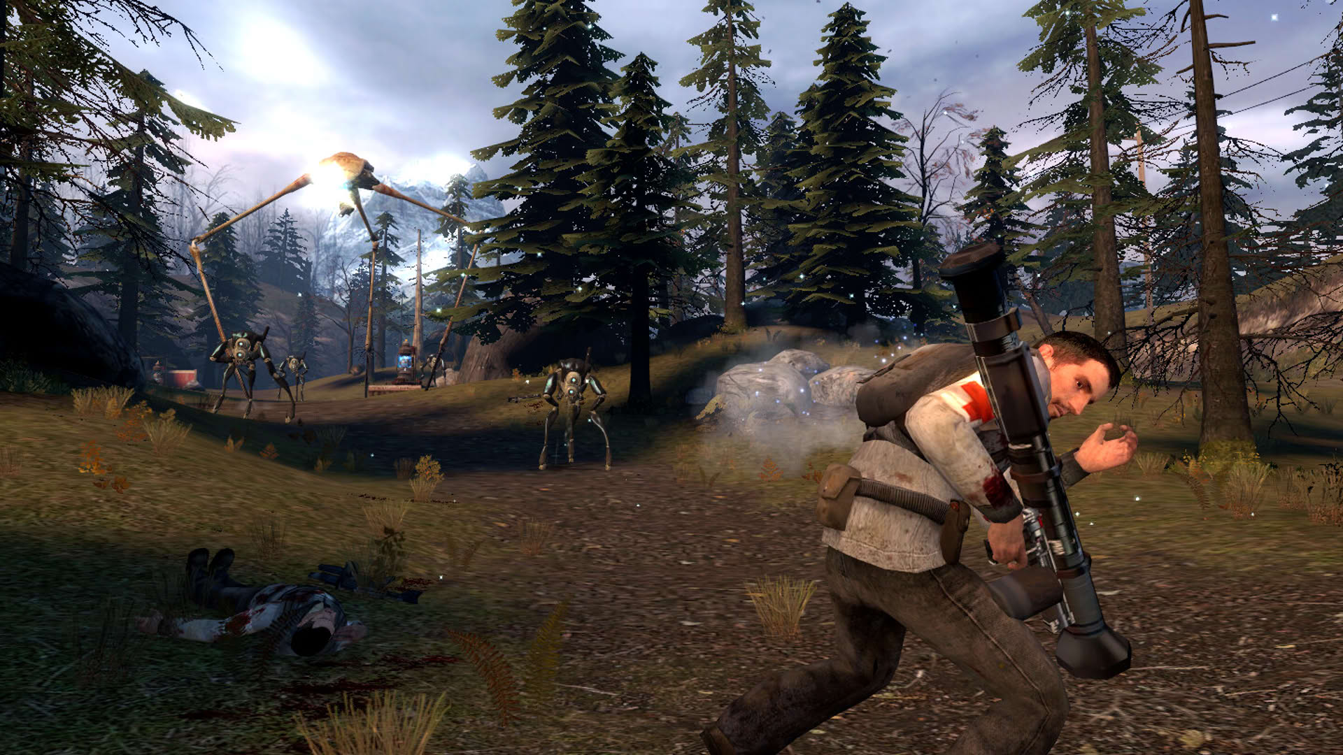 Screenshot for Half-Life 2