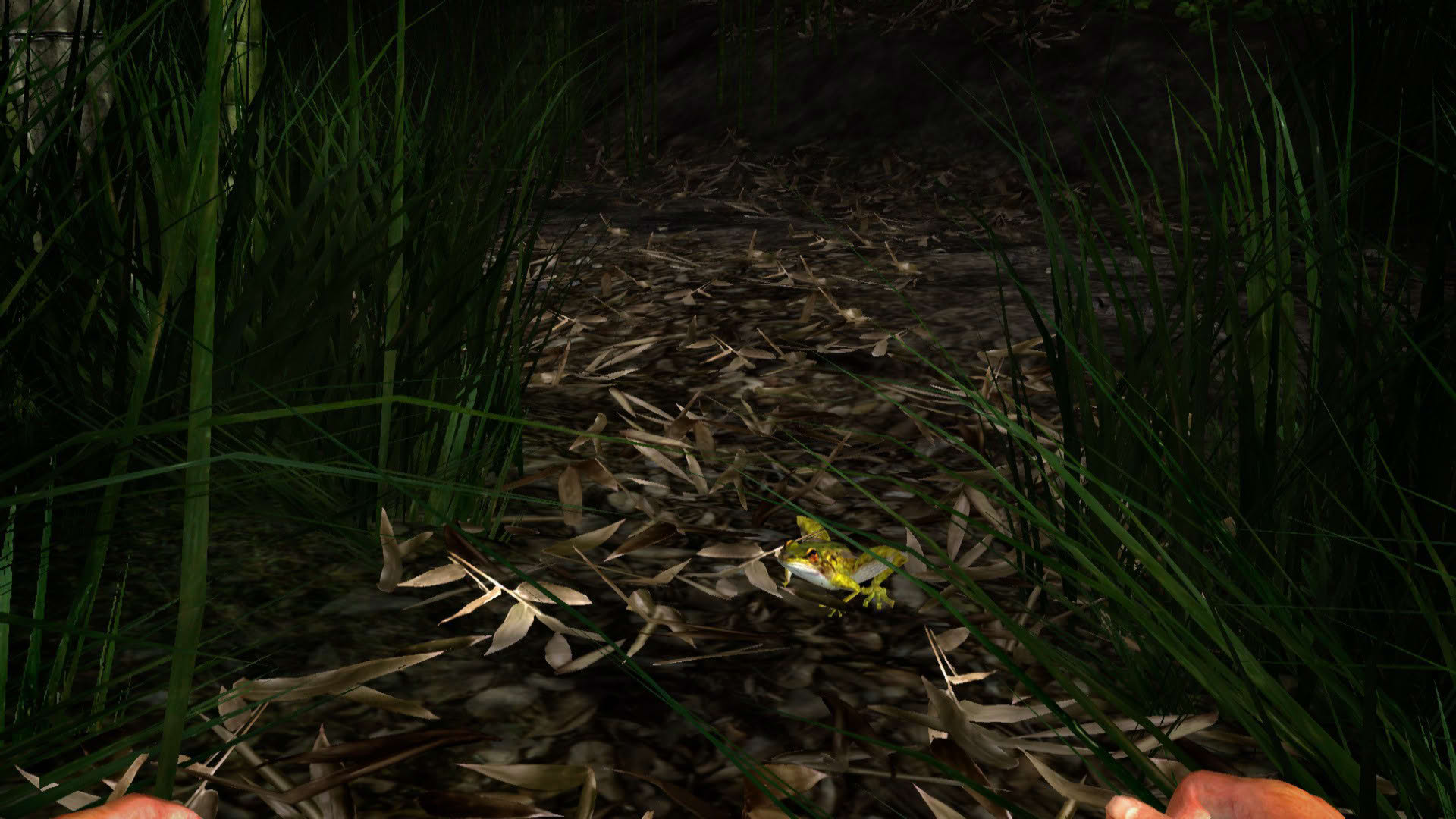Screenshot for Miasmata
