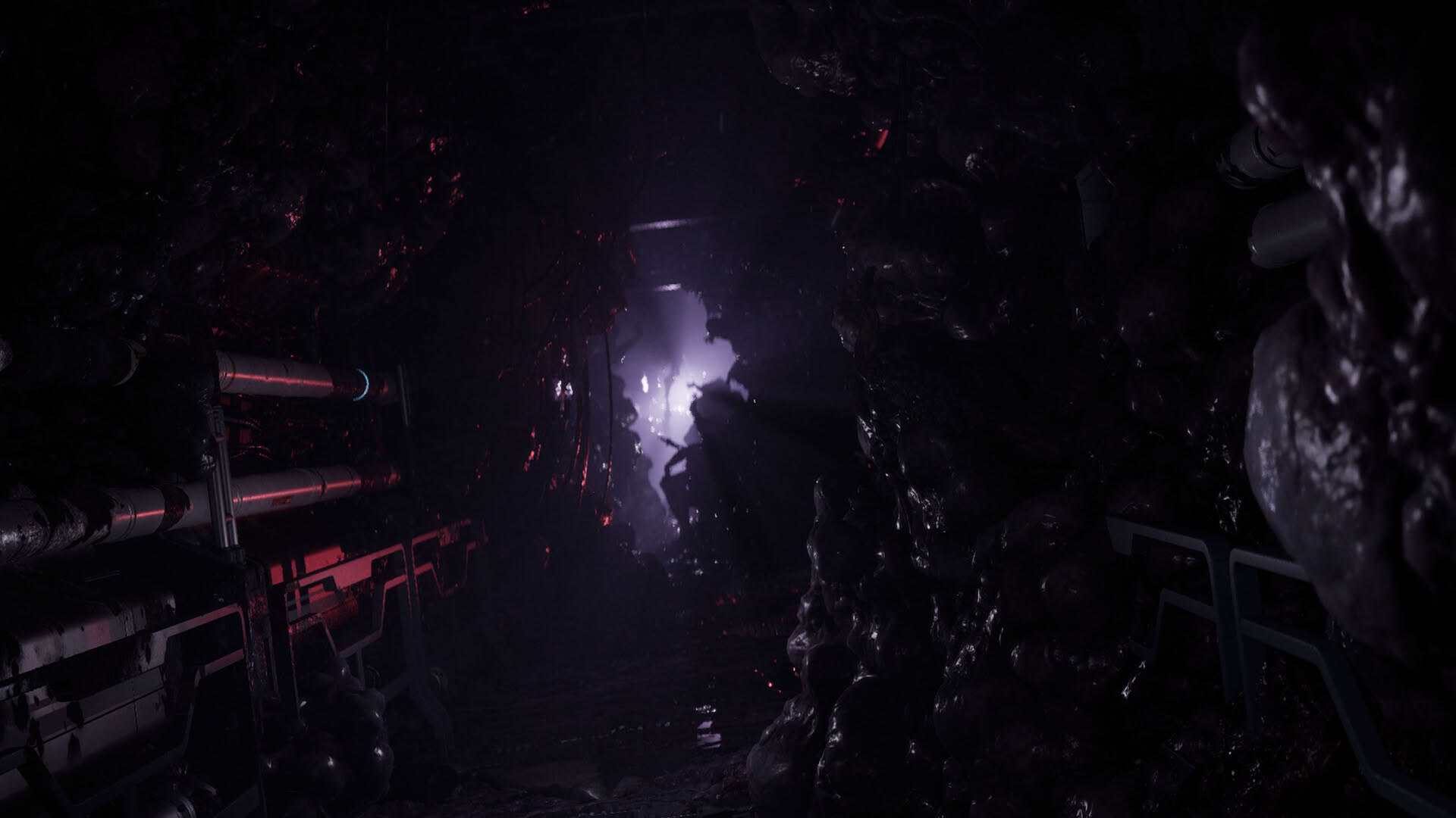 Screenshot for Directive 8020