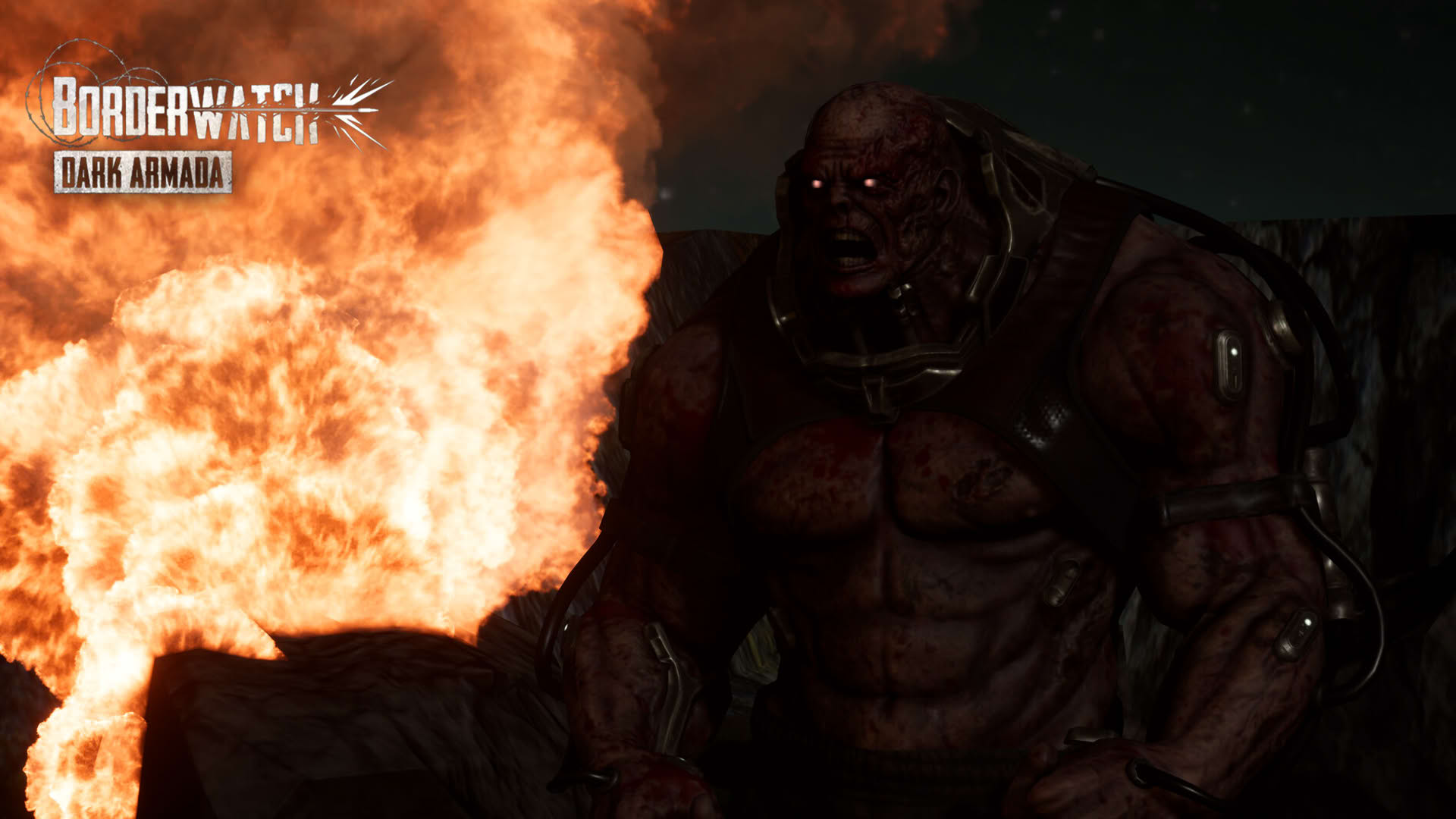 Screenshot for Borderwatch: Dark Armada