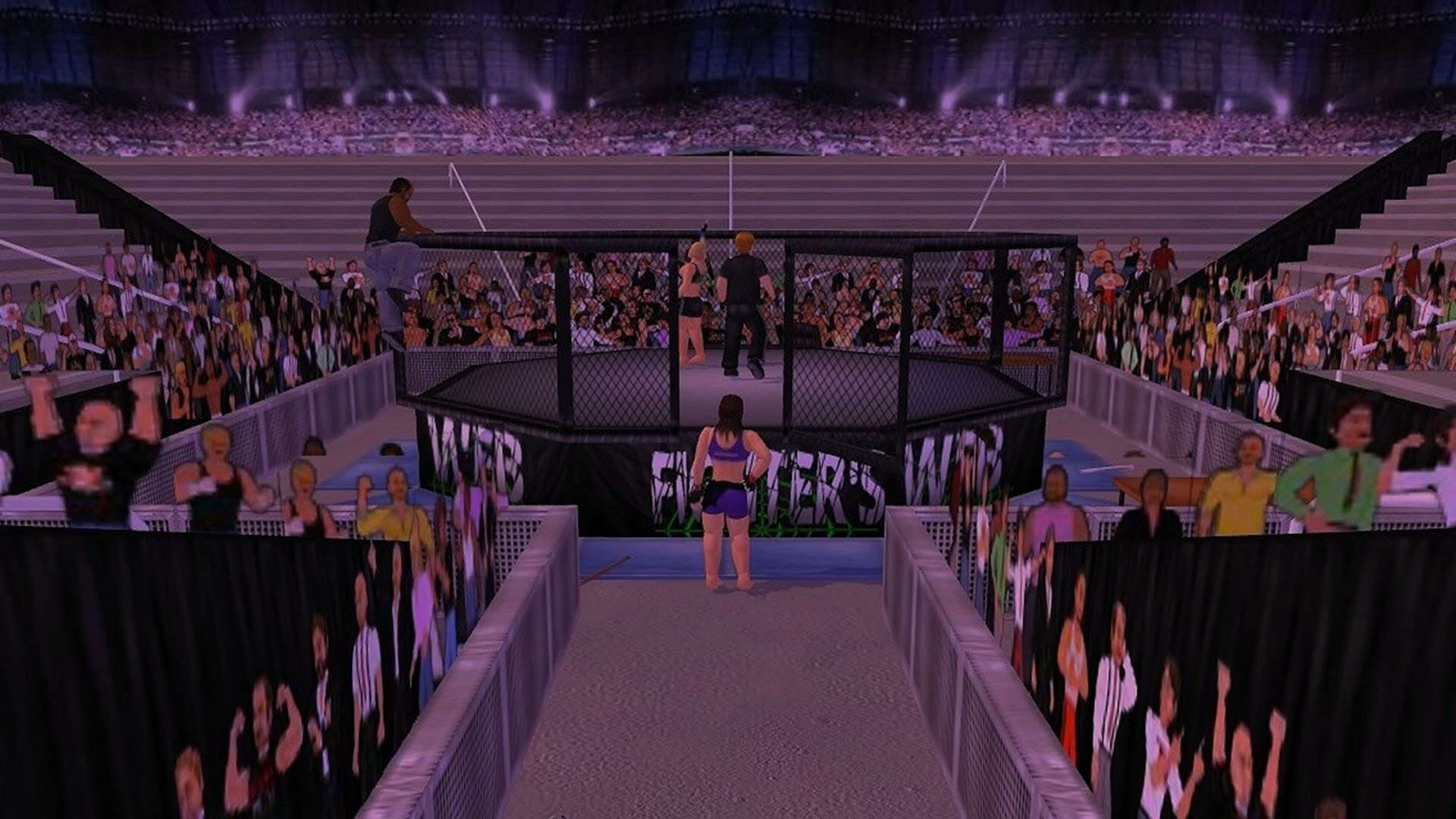 Screenshot for Weekend Warriors MMA