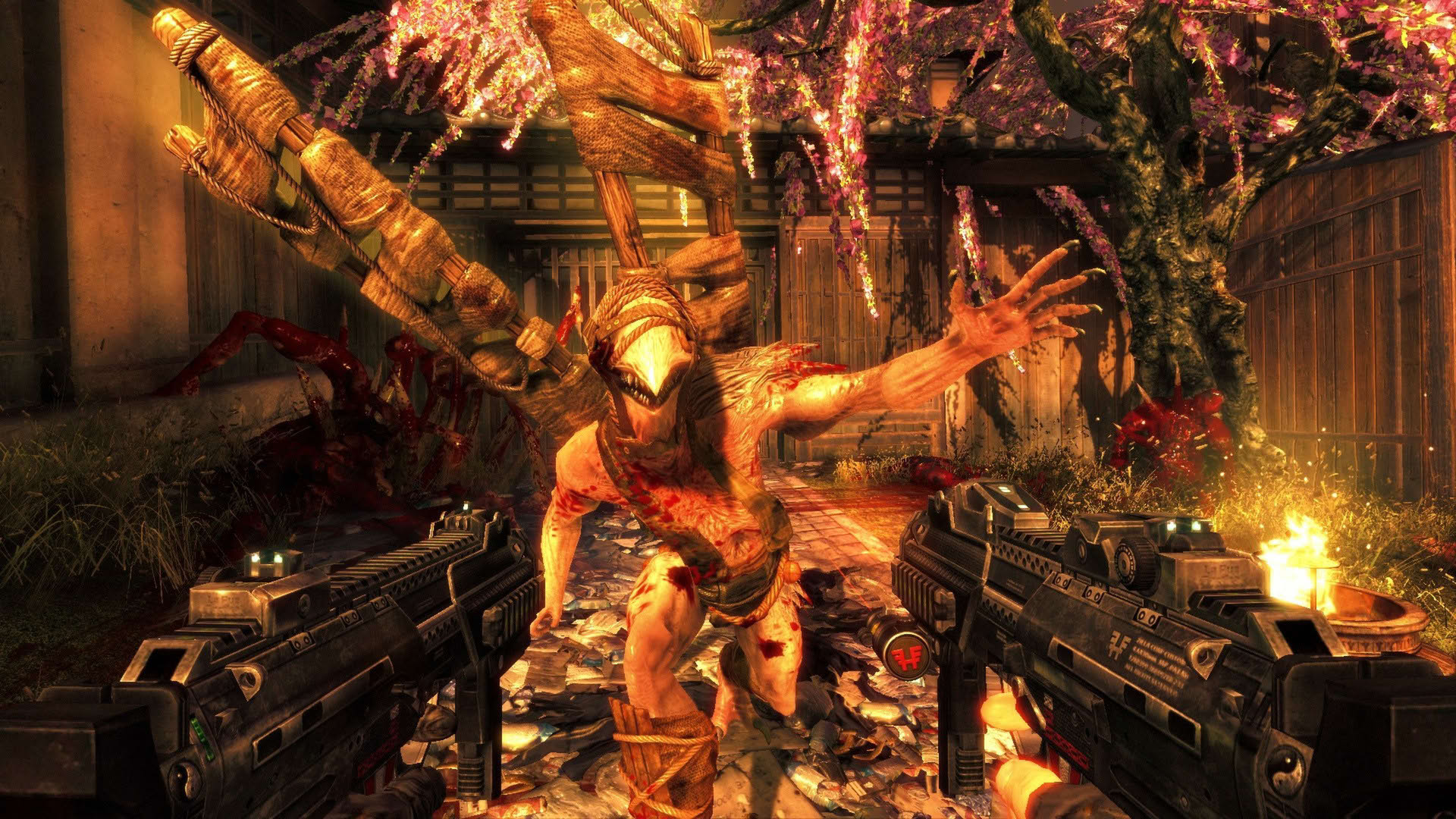 Screenshot for Shadow Warrior