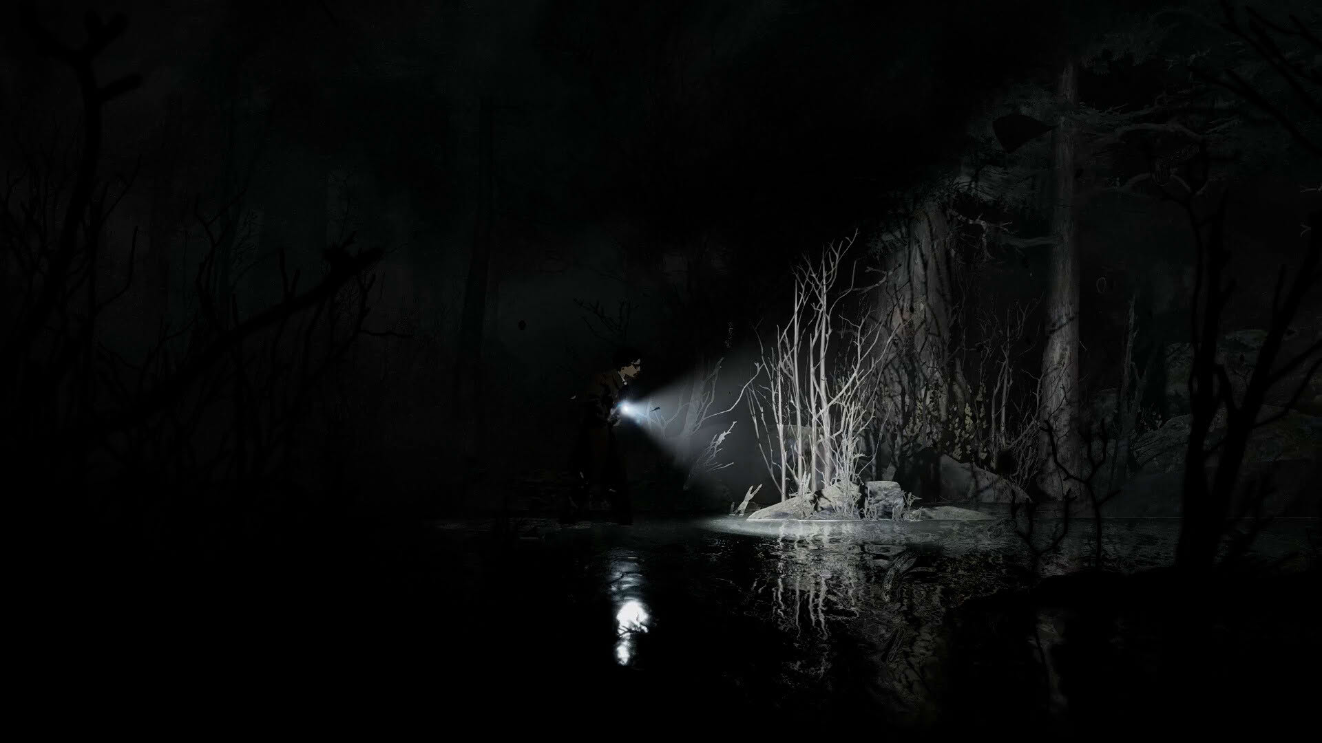 Screenshot for Silver Pines