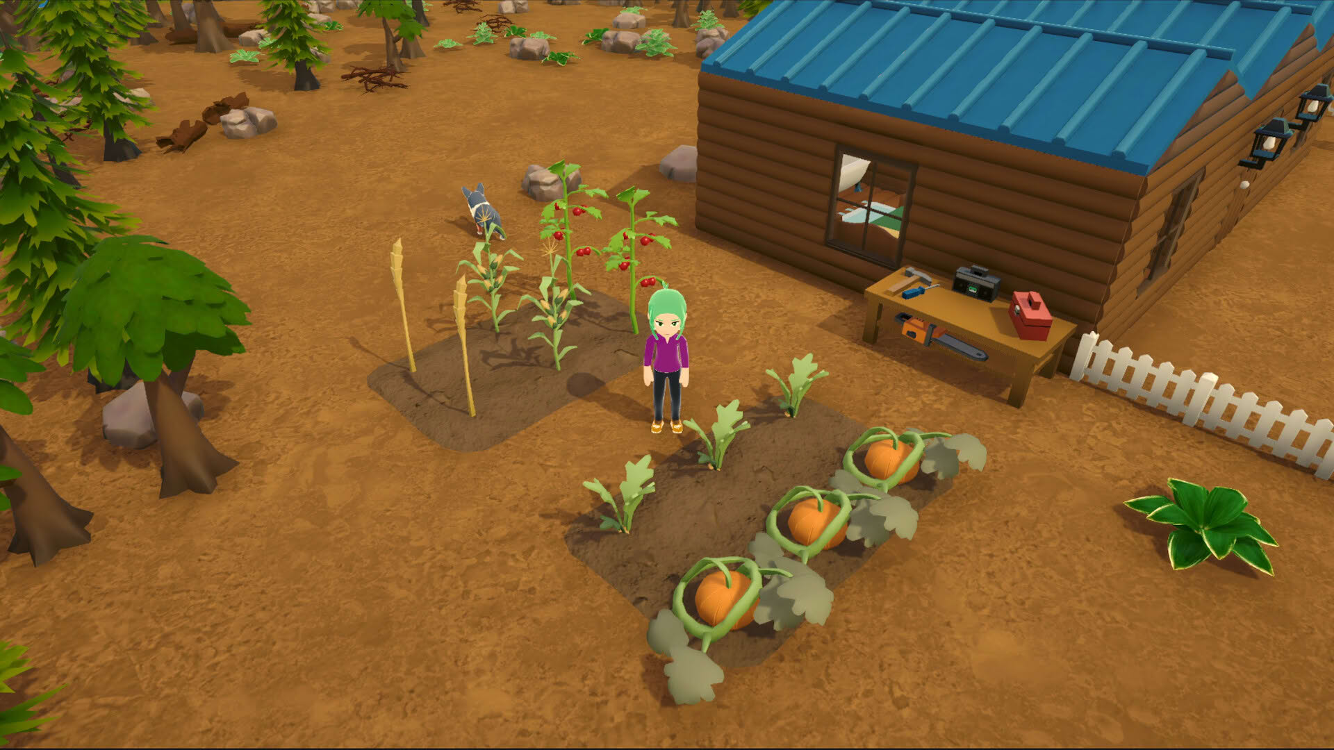 Screenshot for Alpine Lake