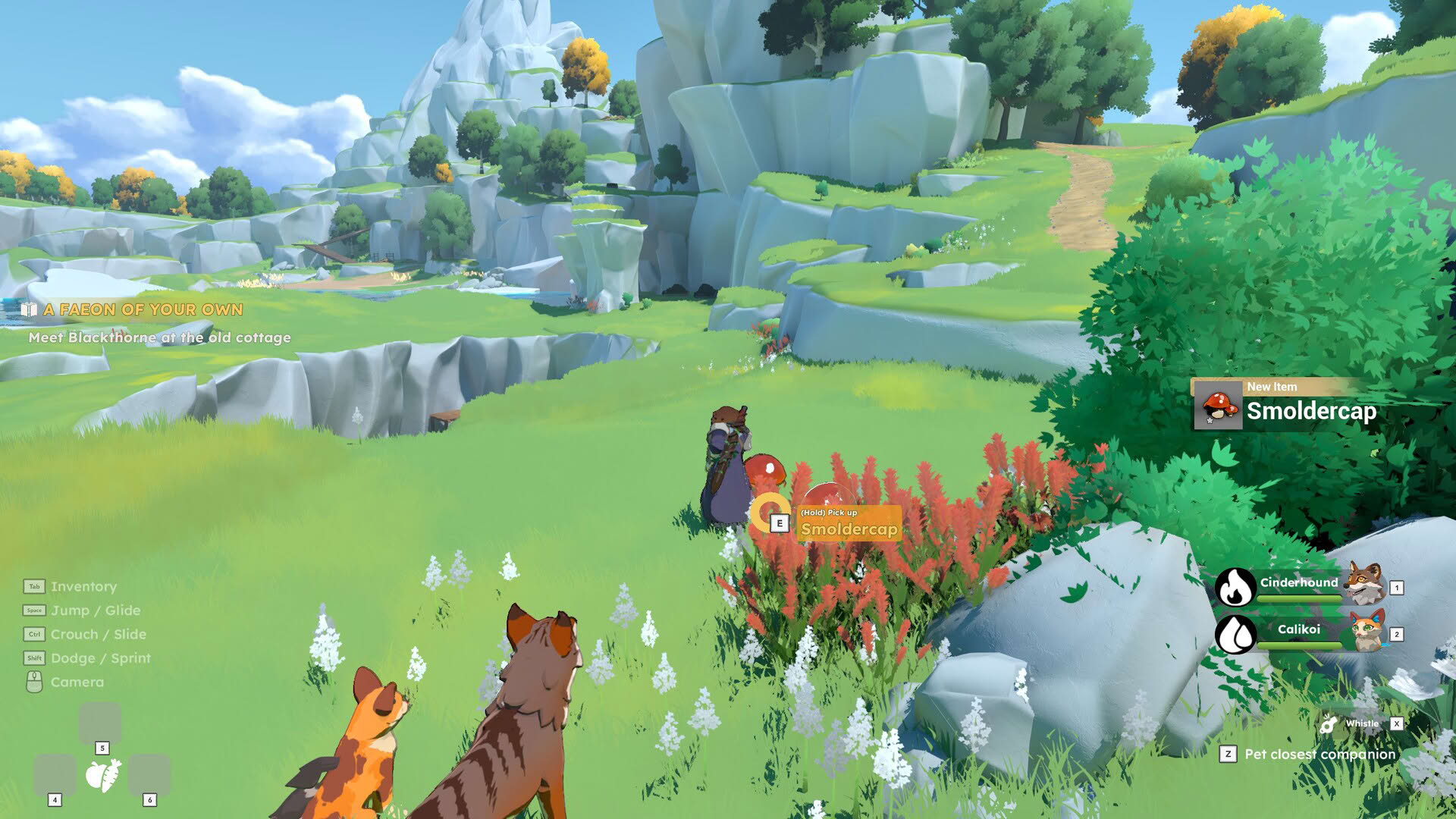 Screenshot for Fae & Fauna