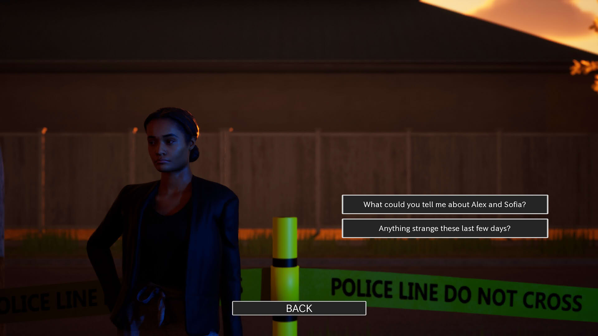 Screenshot for Detective: Stella Porta case