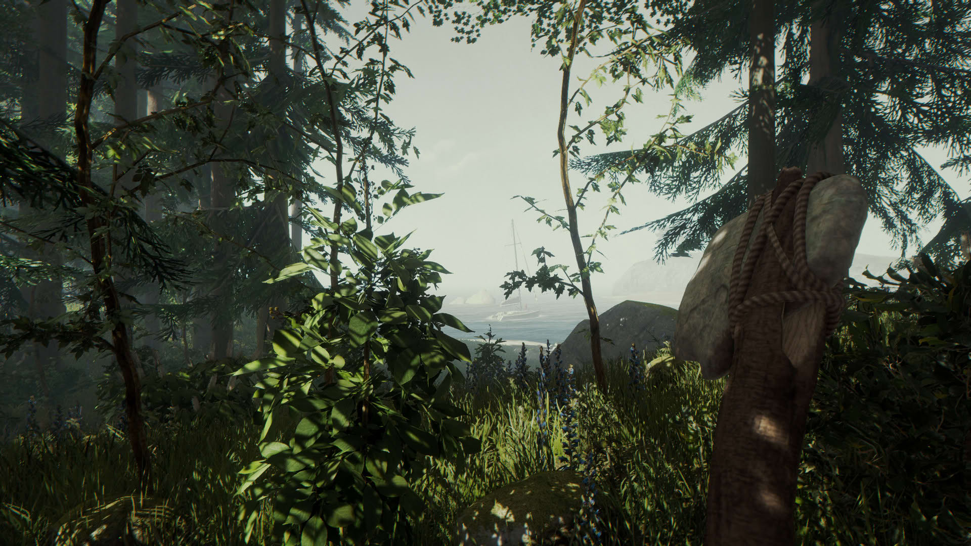 Screenshot for The Forest