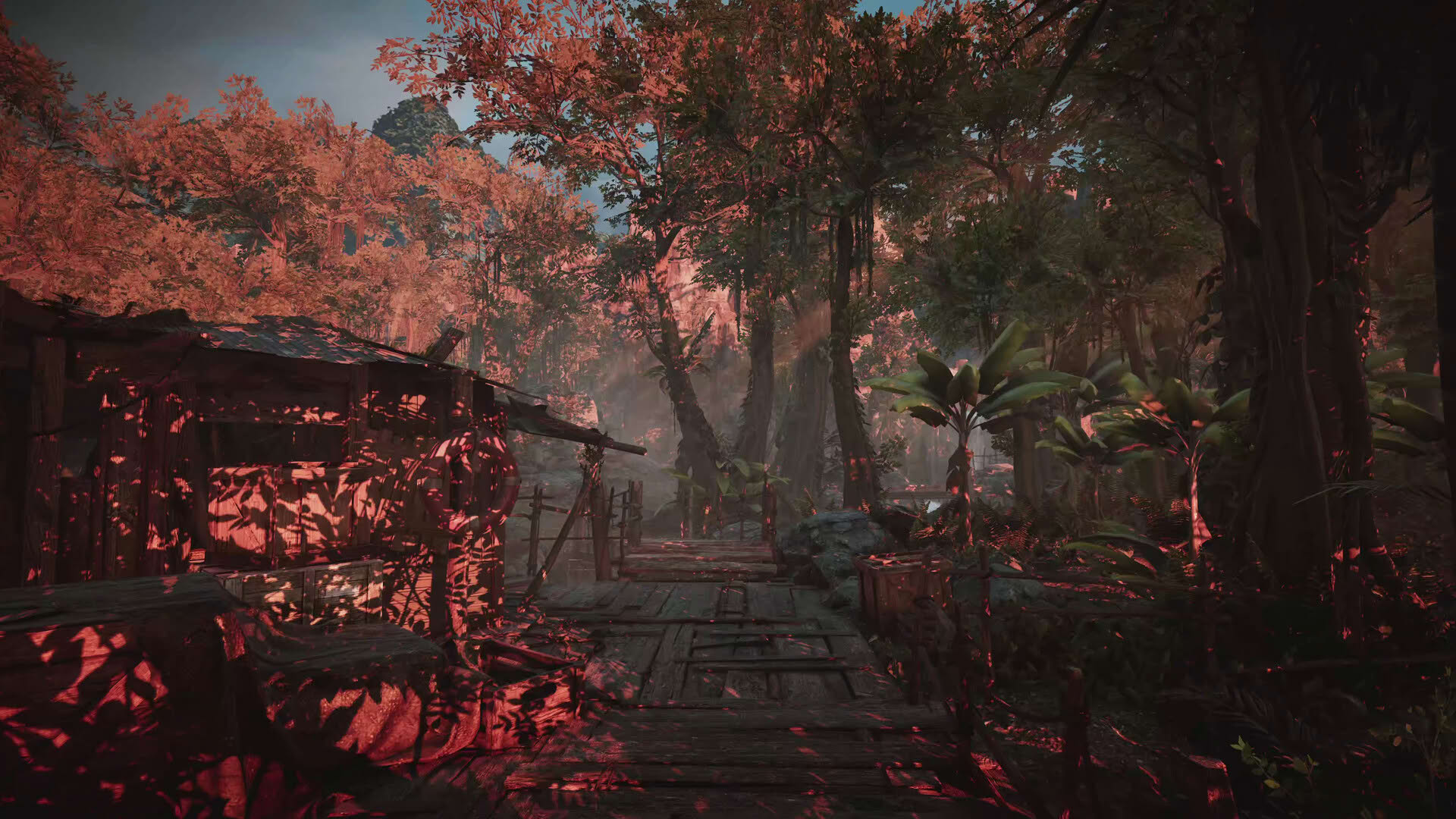 Screenshot for Amerzone: The Explorer's Legacy