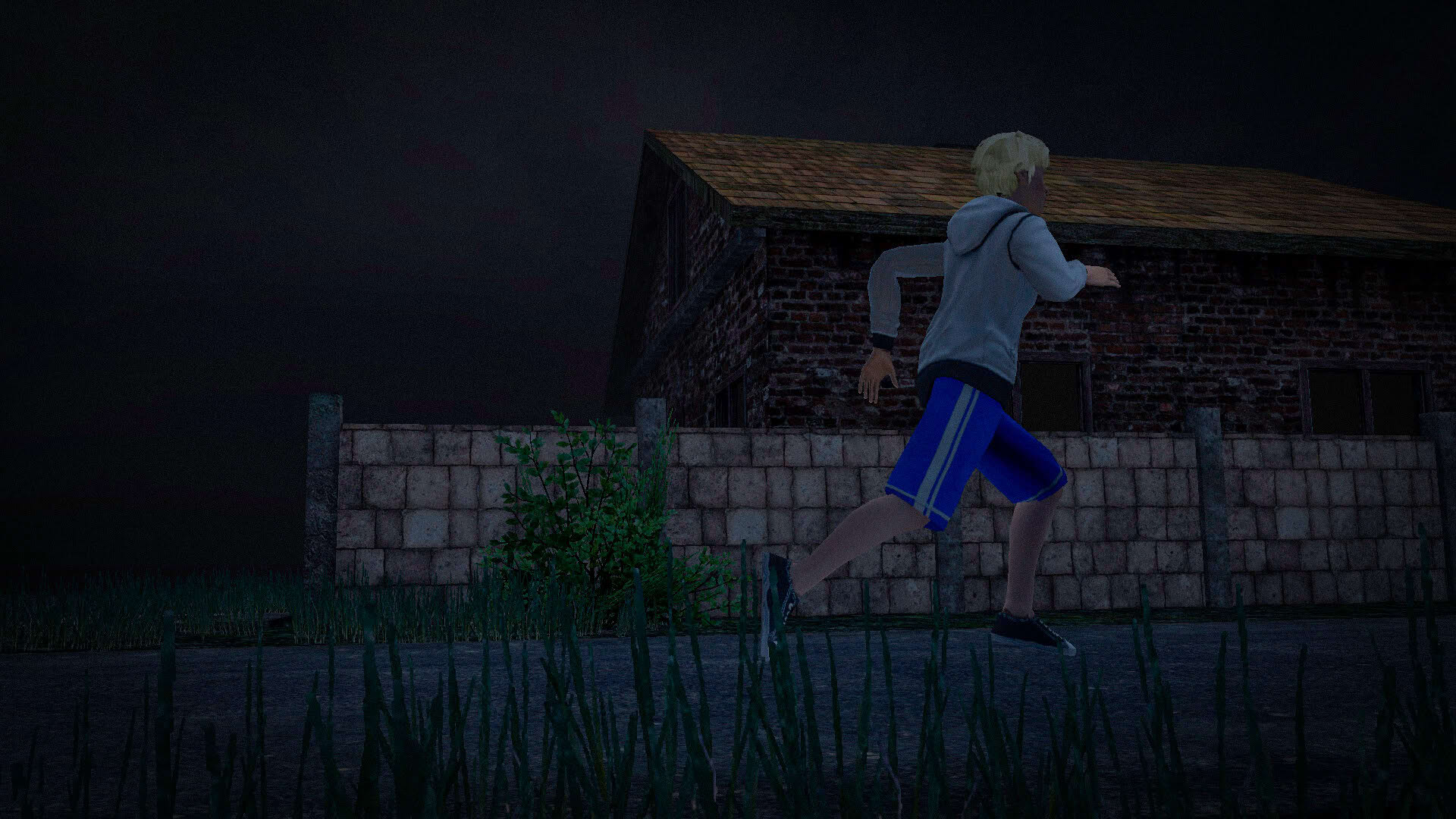 Screenshot for Joker Show: Horror Escape