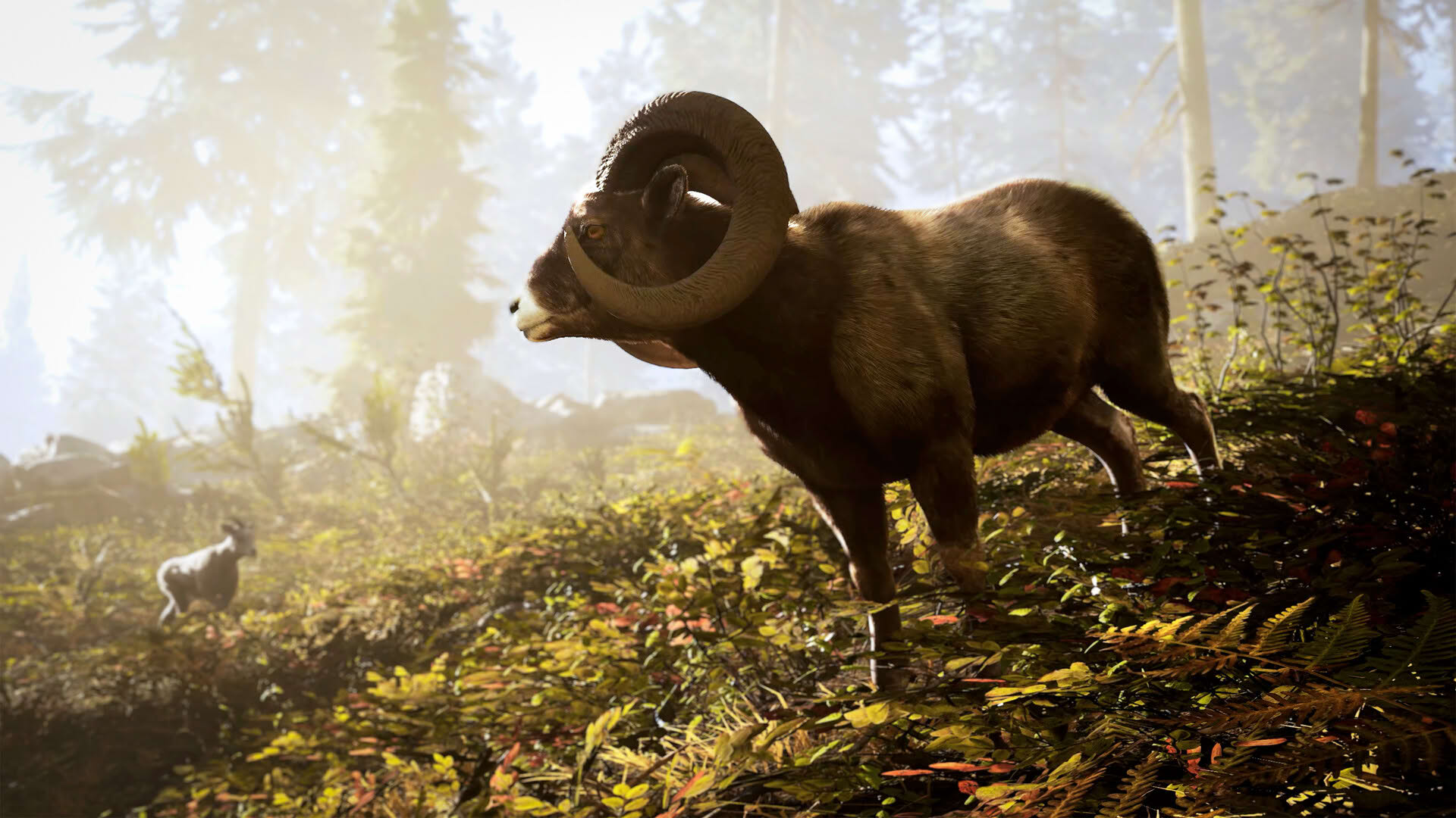 Screenshot for Hunting Simulator 3
