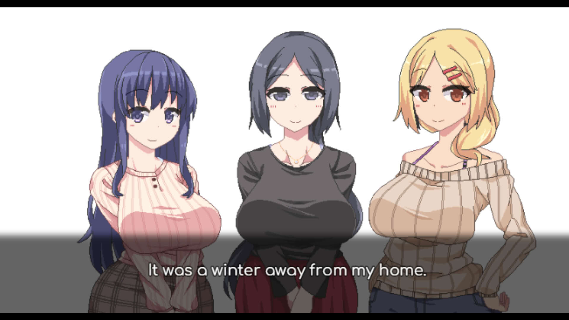 Screenshot for Winter Memories