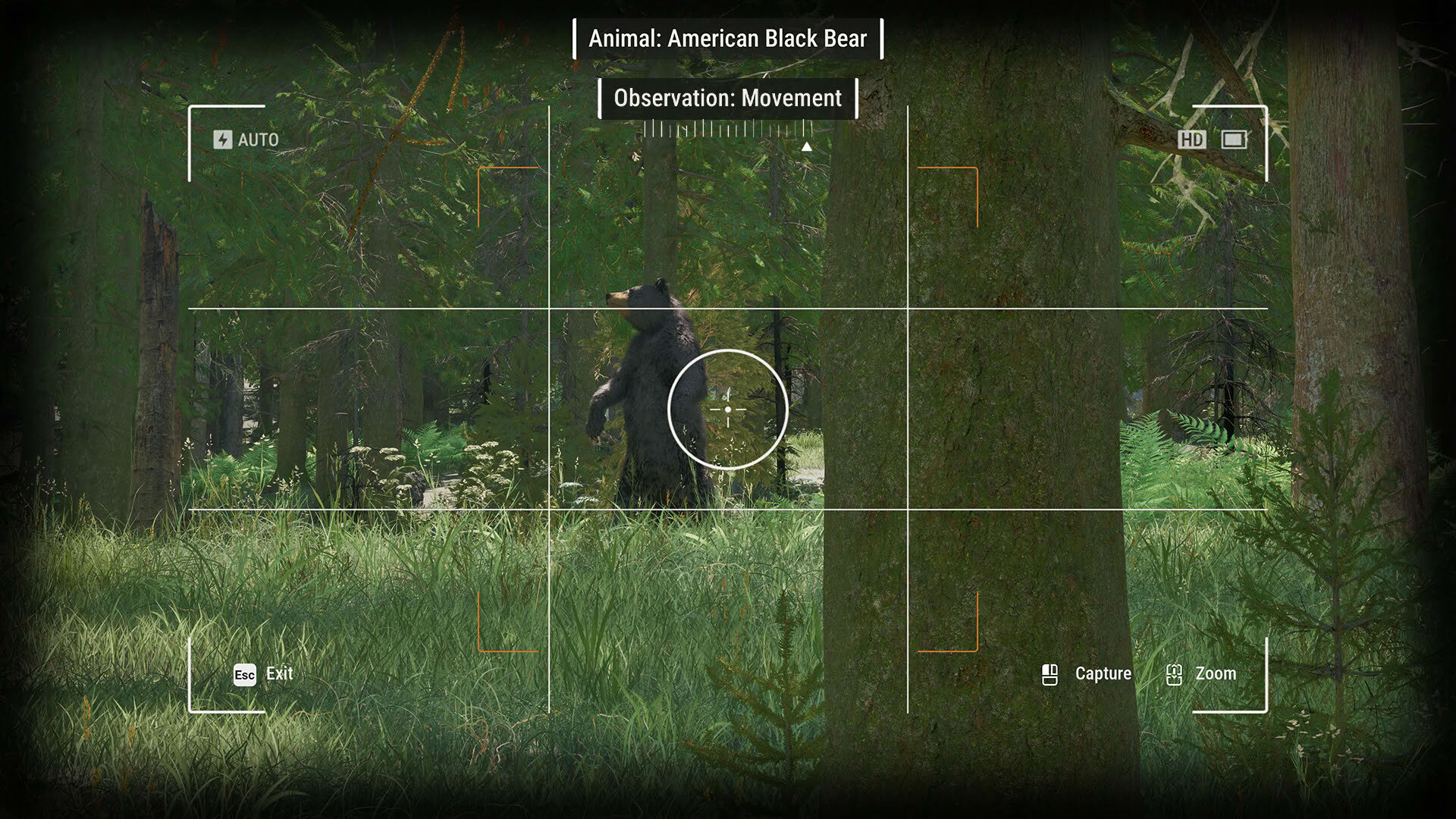 Screenshot for Ranger’s Path: National Park Simulator