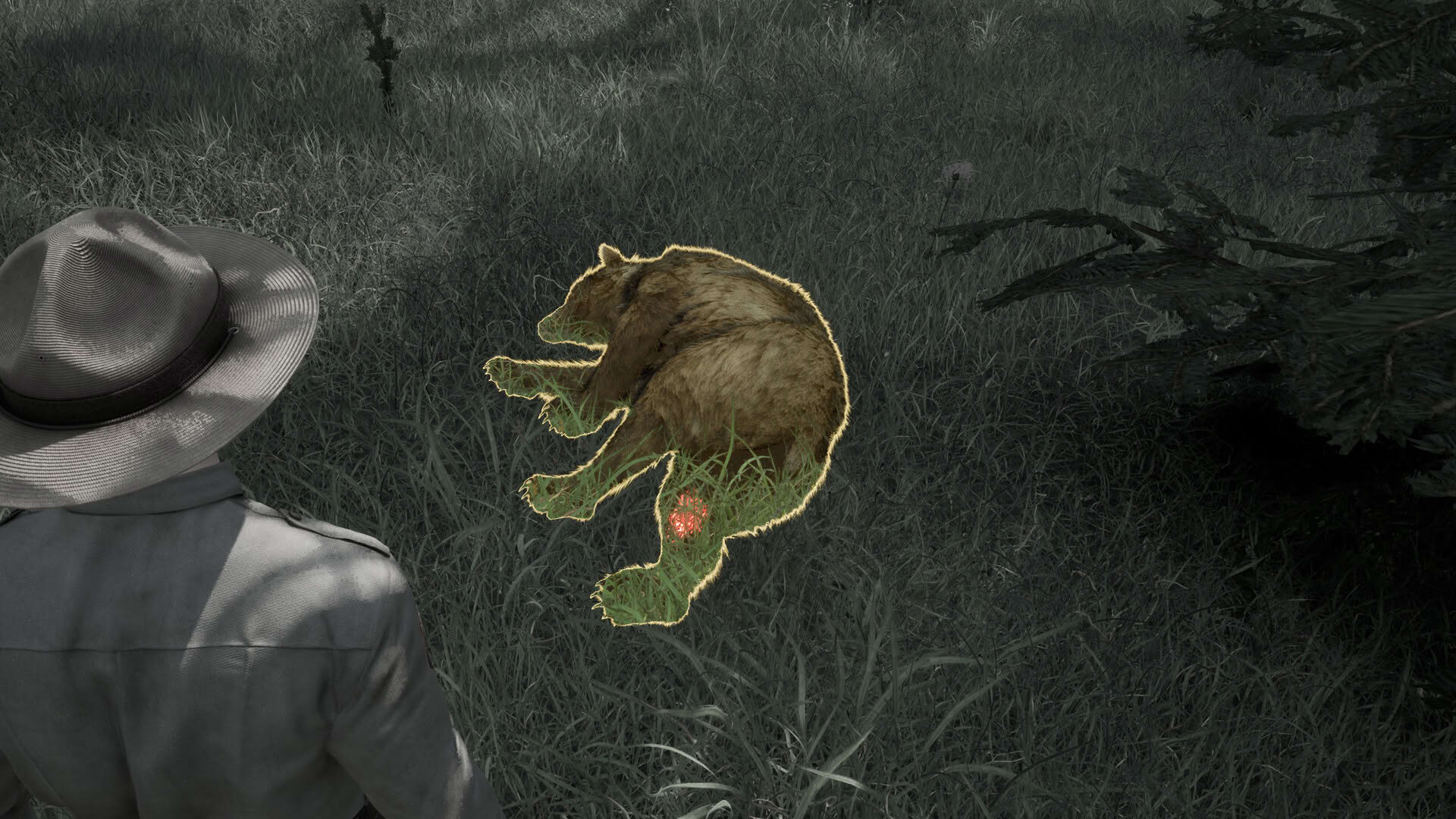 Screenshot for Ranger’s Path: National Park Simulator