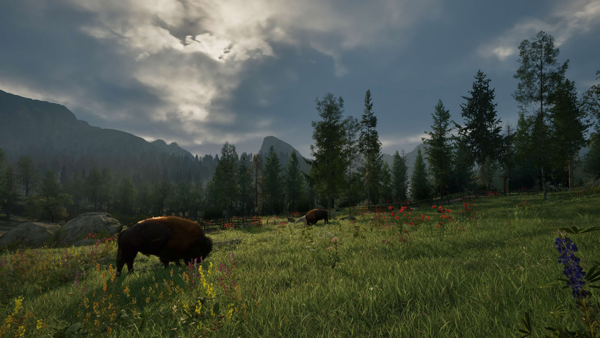 Screenshot for Ranger’s Path: National Park Simulator